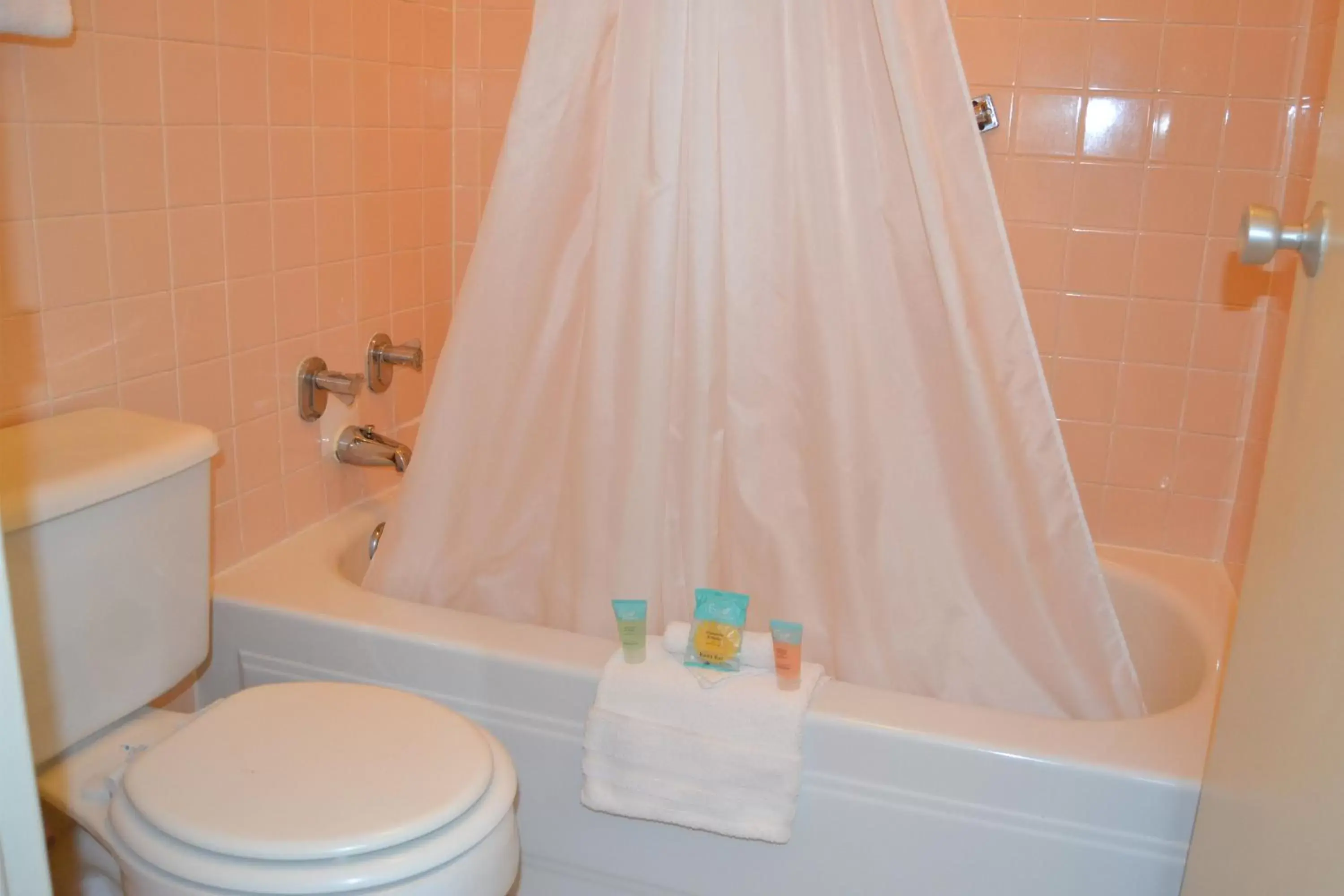 Shower, Bathroom in Cascades Inn