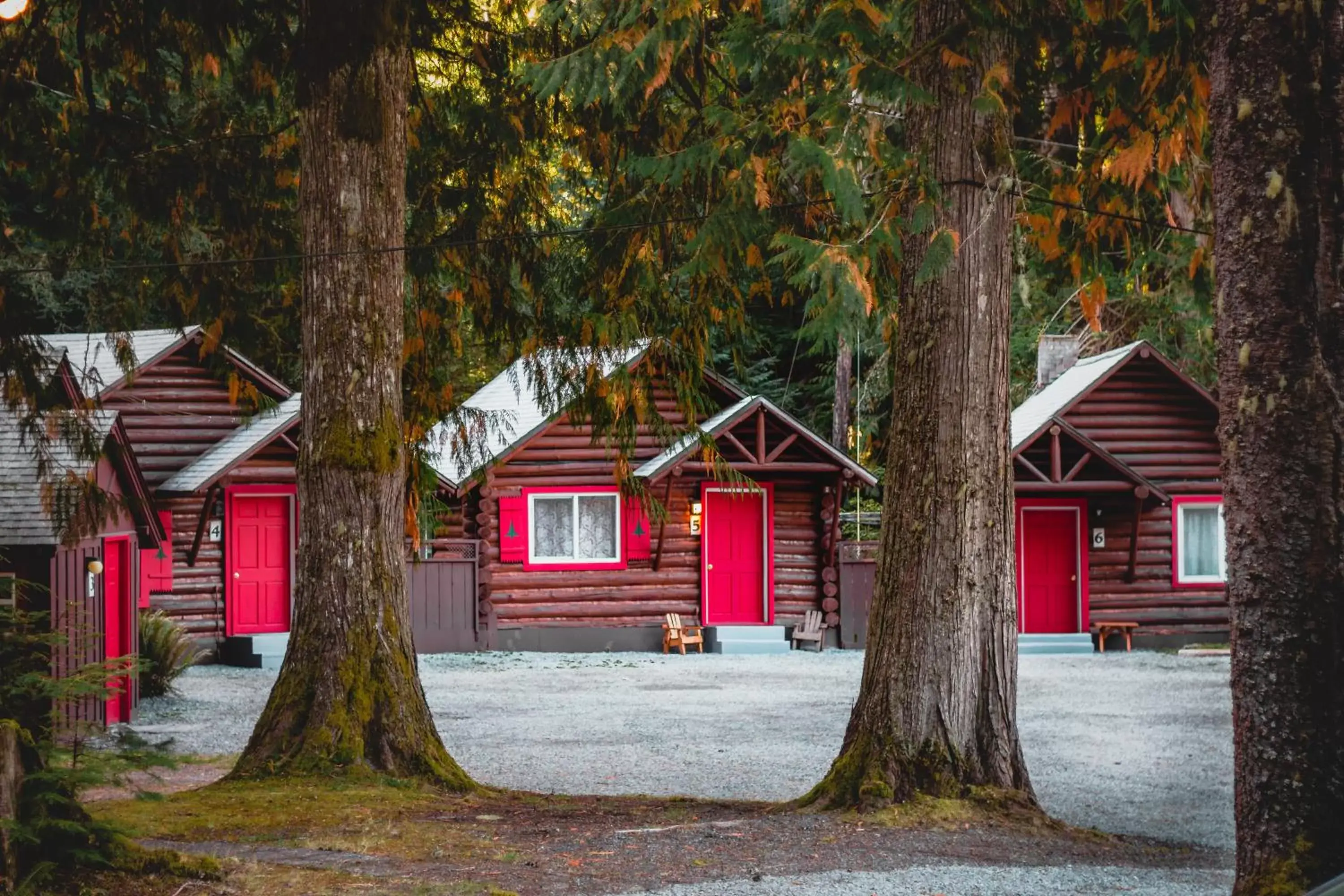 Property Building in Gateway Inn & Cabins