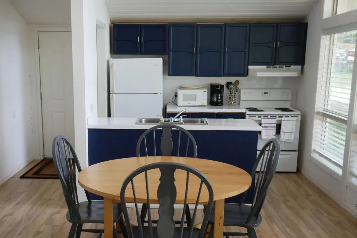 Kitchen/Kitchenette in Walker Lake Resort