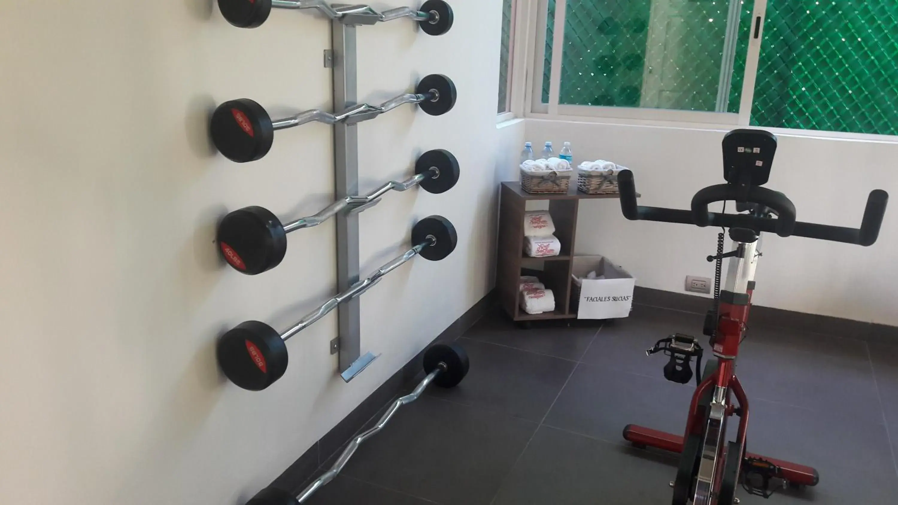 Fitness Center/Facilities in Hotel Boutique Real San Juan Center