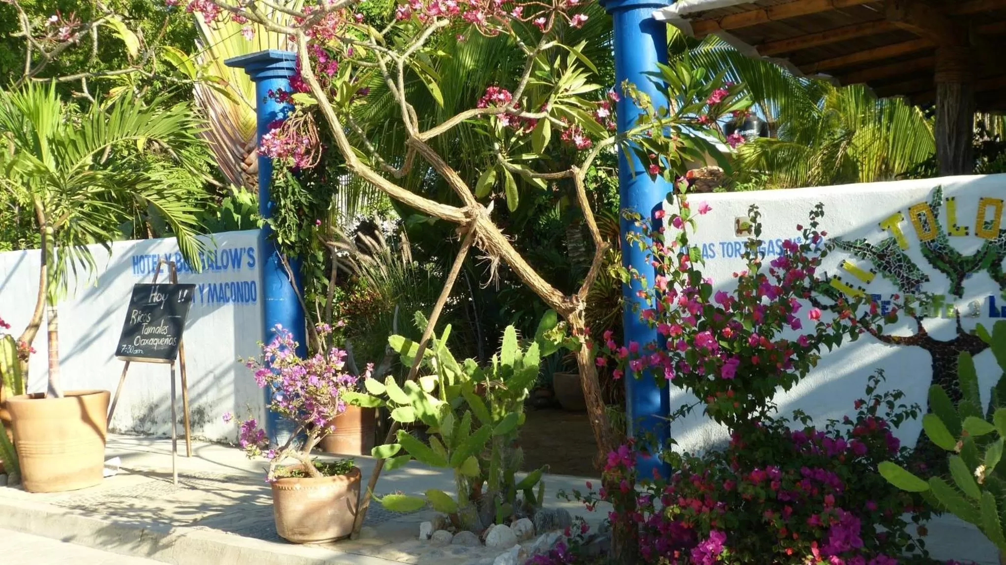 Facade/entrance in Hotel Villa Mozart y Macondo