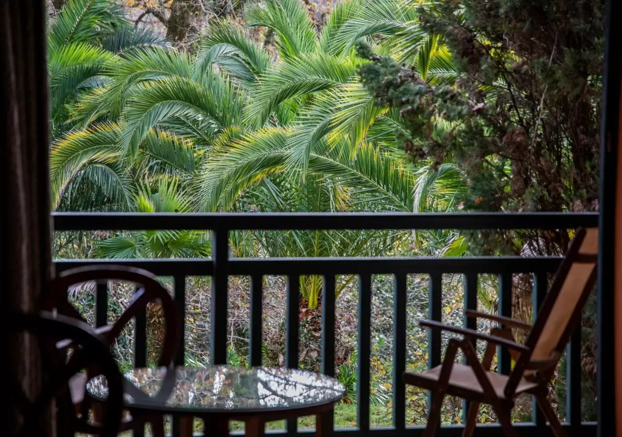 Balcony/Terrace in Hôtel Les Frères Ibarboure