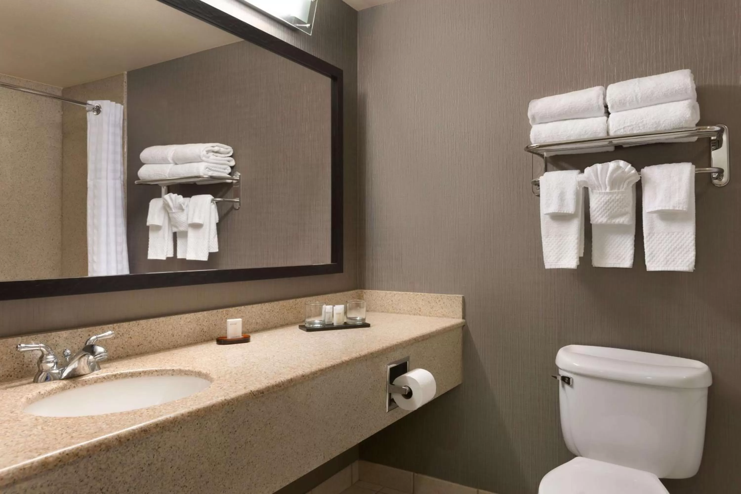 Bathroom in Embassy Suites by Hilton Franklin Cool Spring