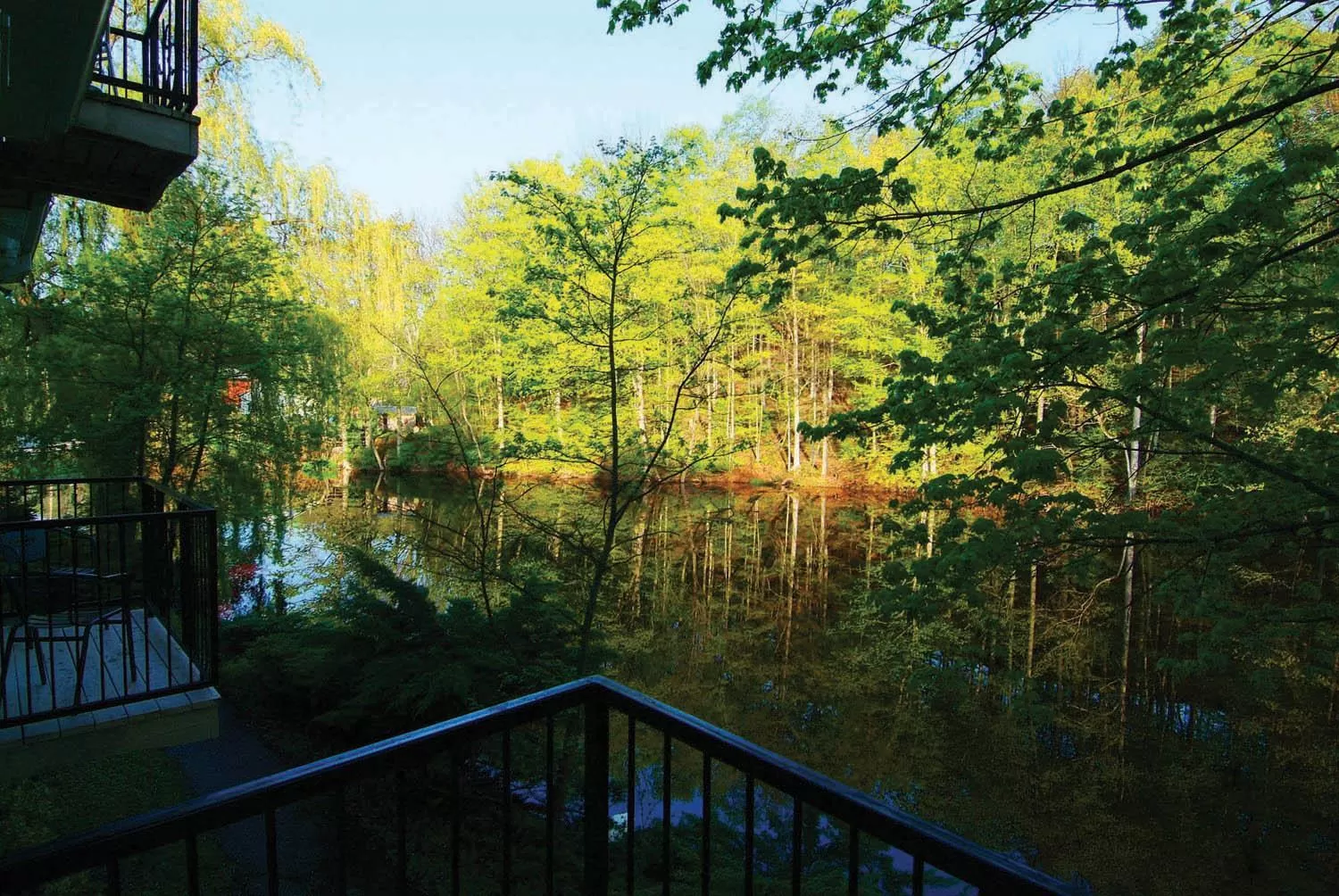 Summer in Benmiller Inn & Spa