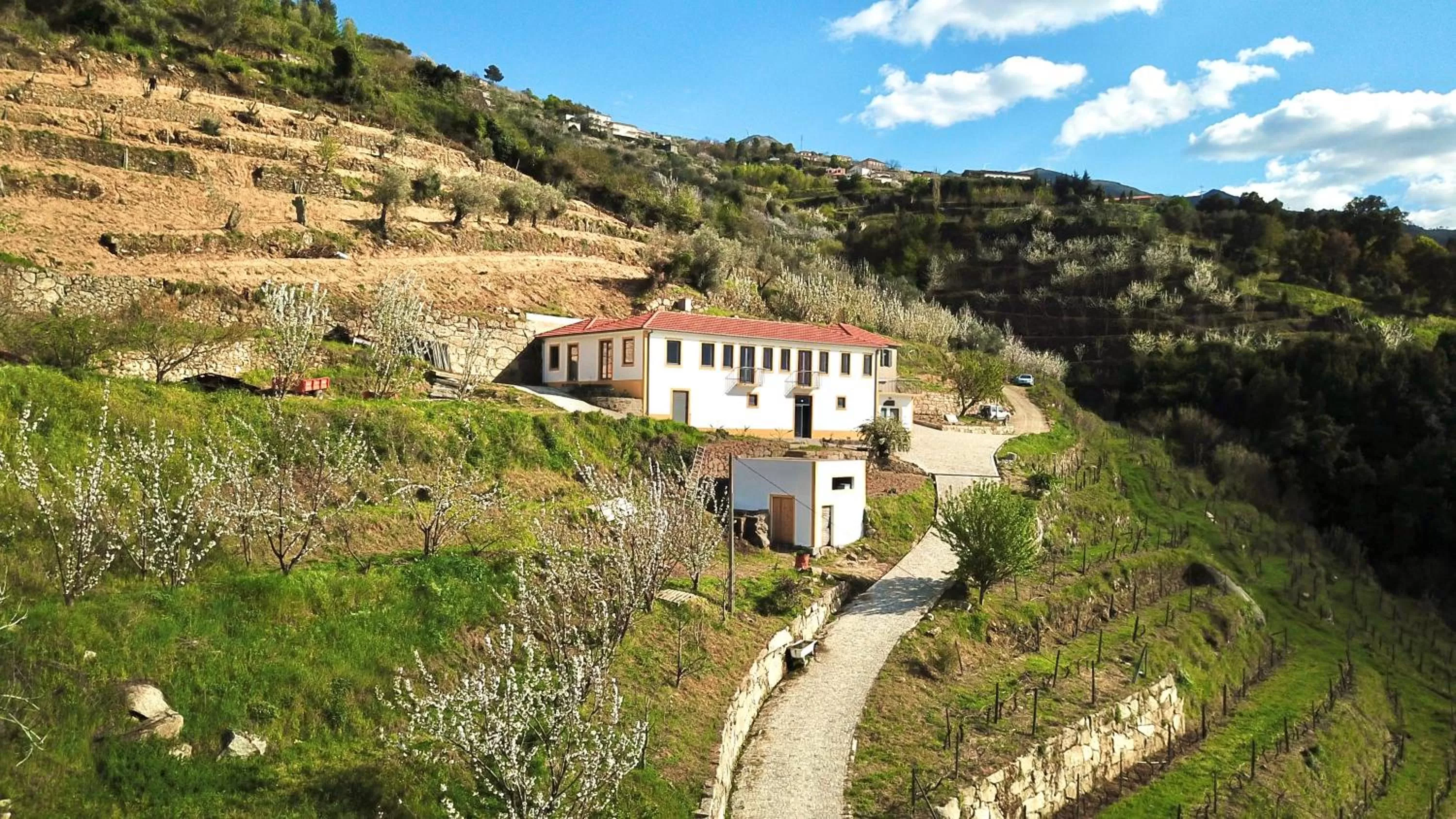 Bird's eye view, Bird's-eye View in Quinta do Fojo Valonguinho, Barrô