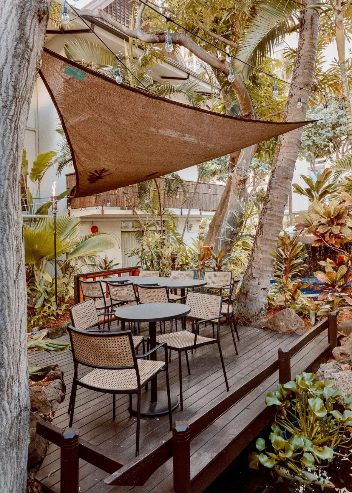 Seating area, Restaurant/Places to Eat in White Sands Hotel