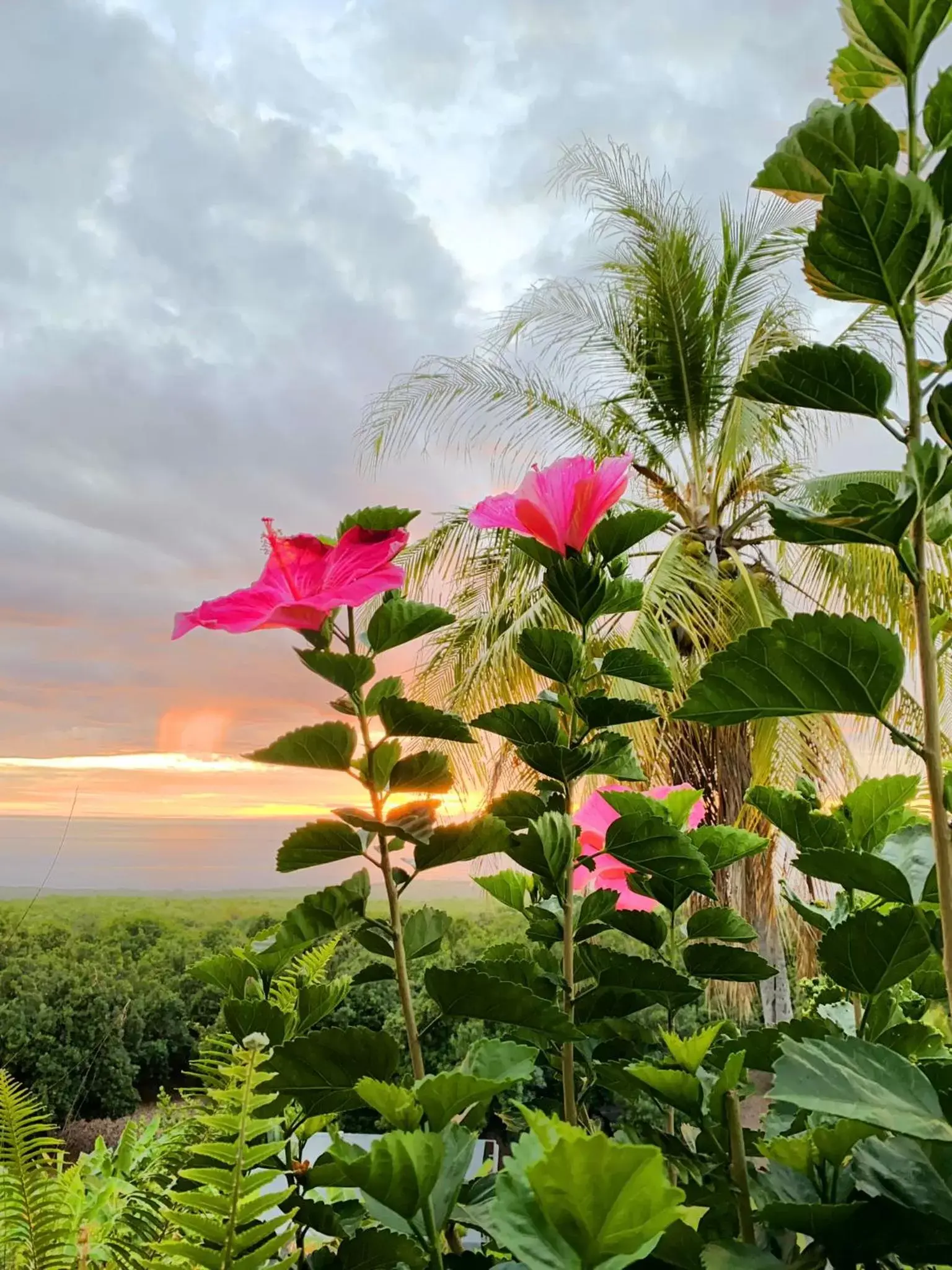 Kona Bayview Inn