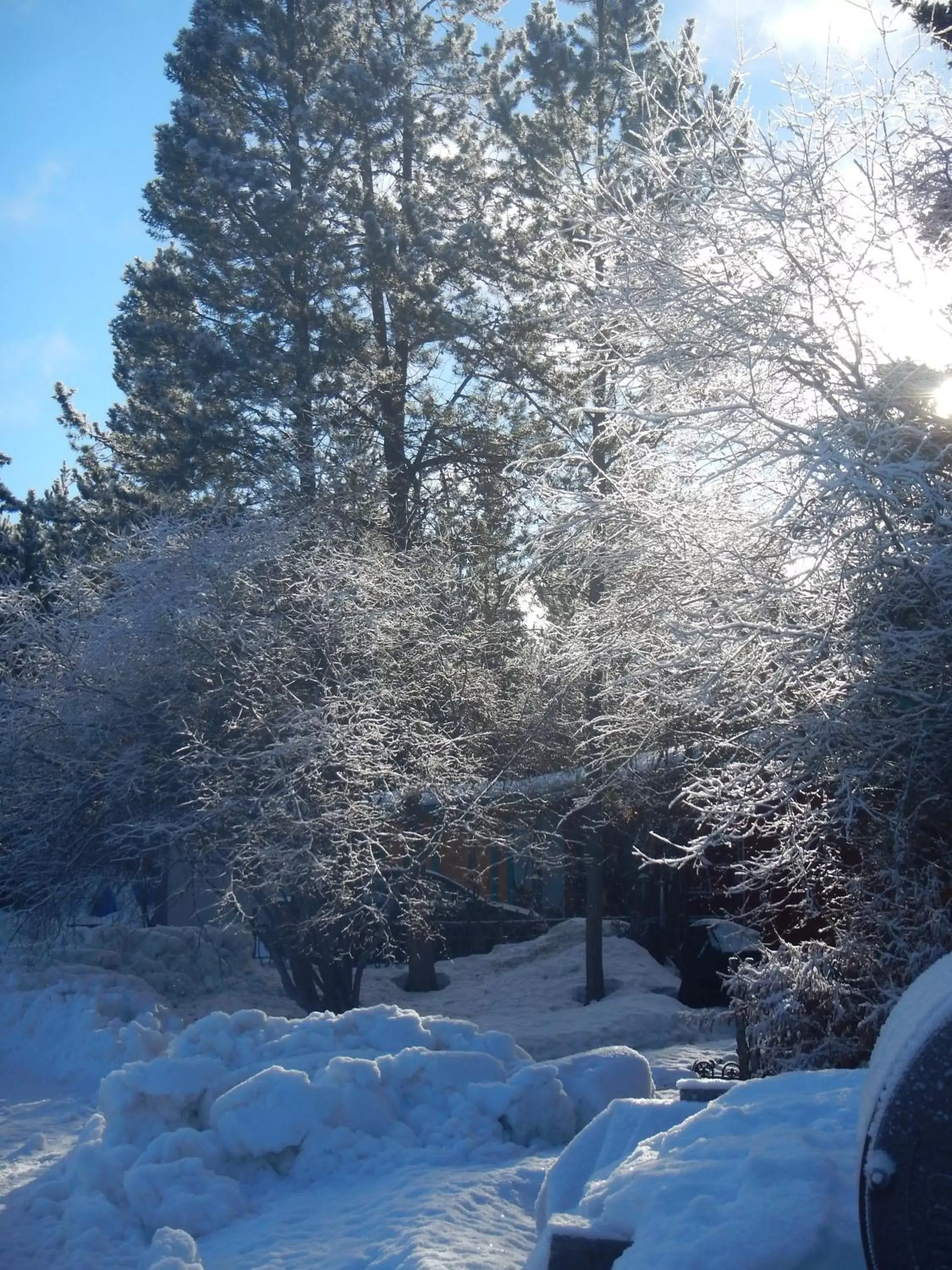 Area and facilities, Winter in Hidden Valley Bed and Breakfast