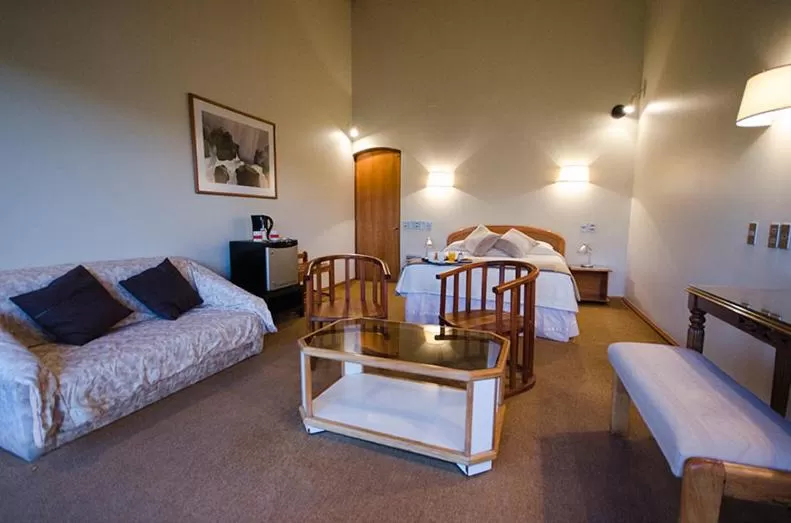 Suite - single occupancy in Hotel Salto Del Laja