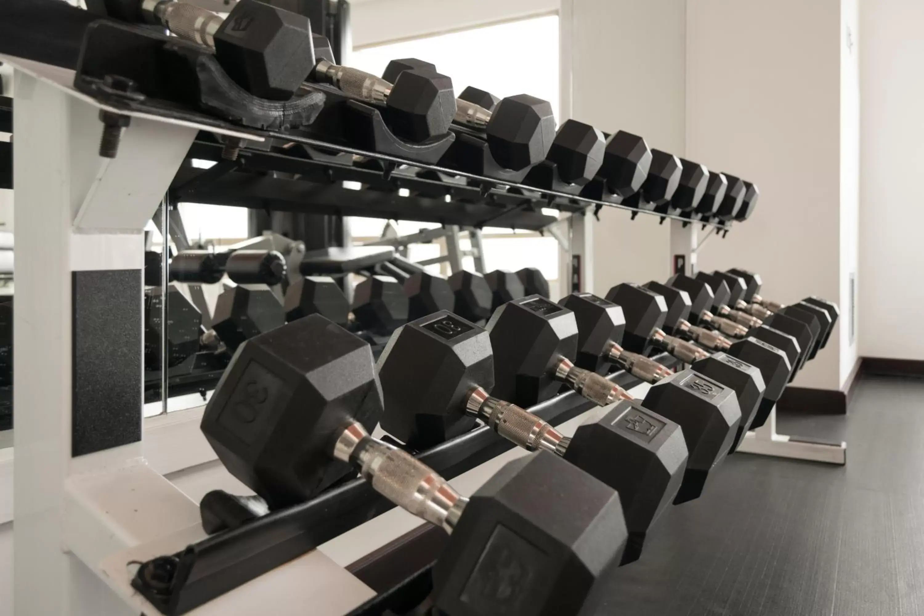 Fitness centre/facilities, Fitness Center/Facilities in Hotel Clarion Suites Guatemala