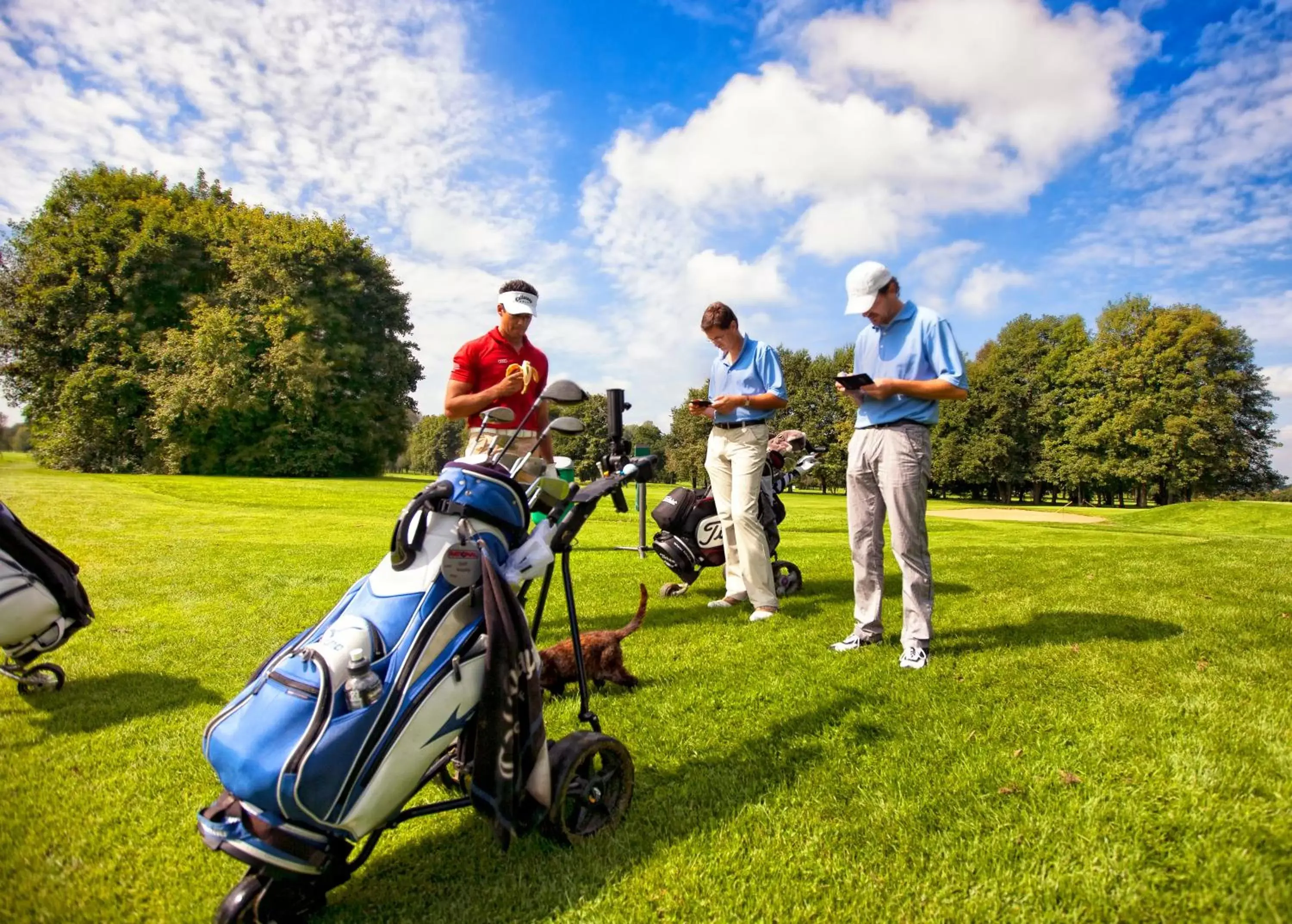 Golfcourse in Steigenberger Hotel Der Sonnenhof