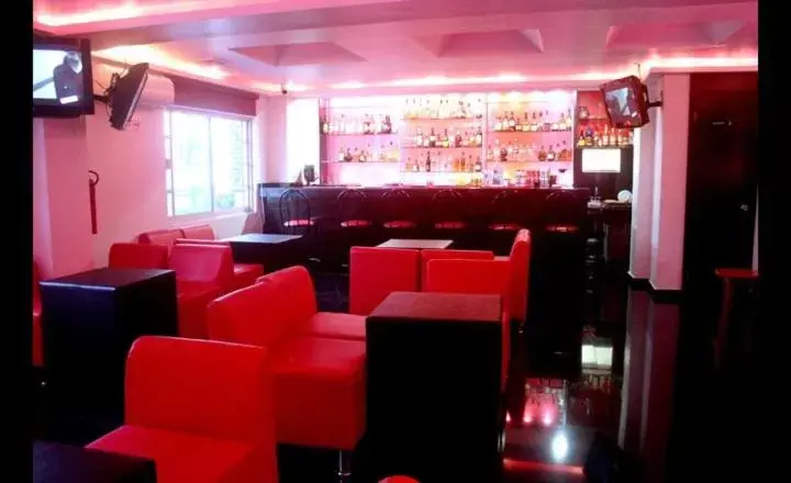 Lounge/Bar in Hotel Báez Carrizal