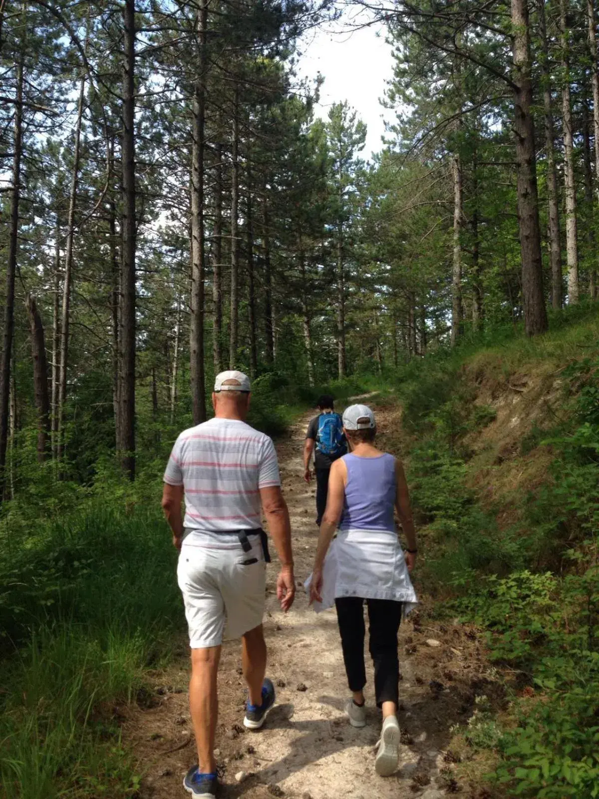 Hiking in Hotel Mamiani & Kì-Spa Urbino