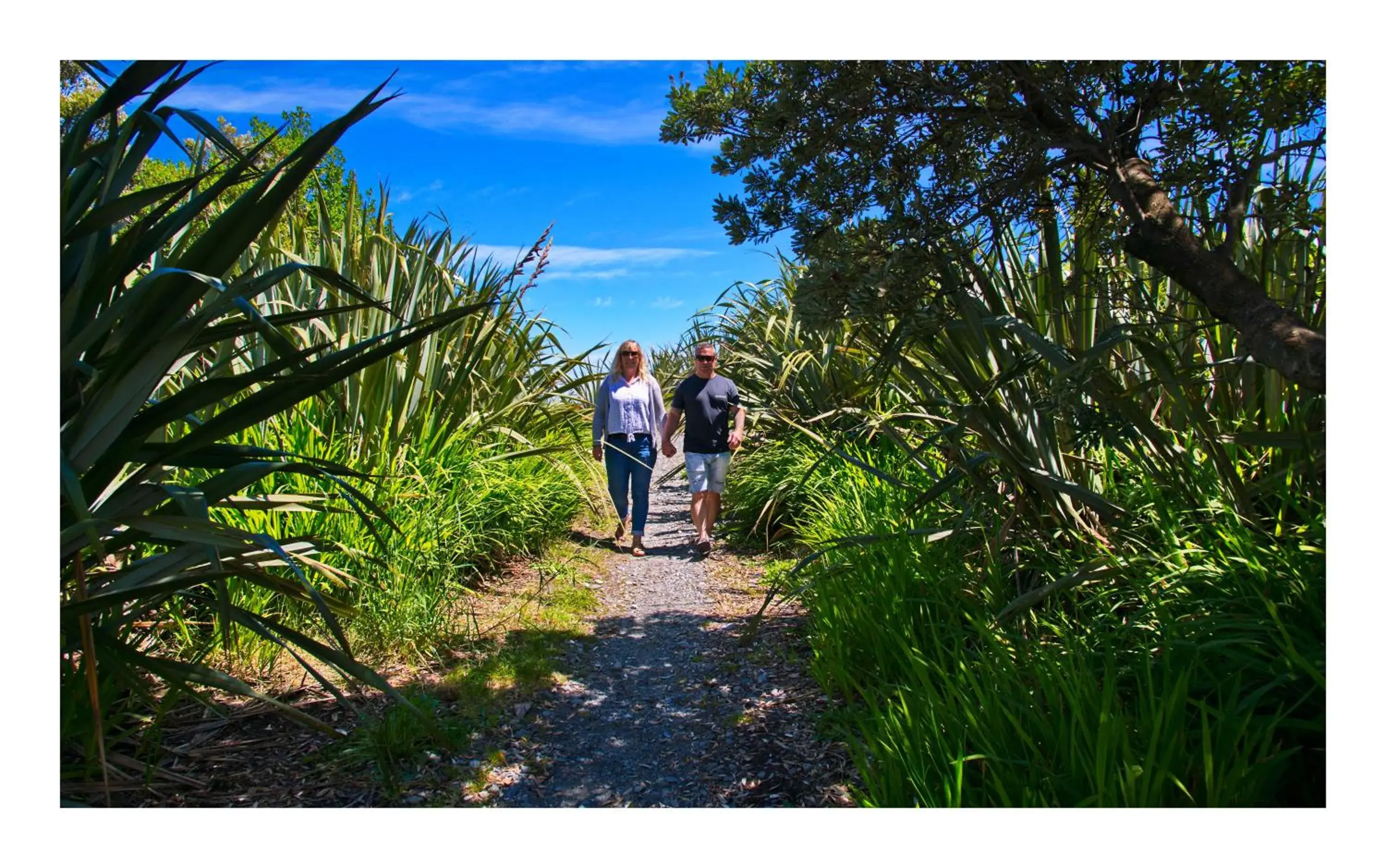 Beach in Greymouth Seaside TOP 10 Holiday Park