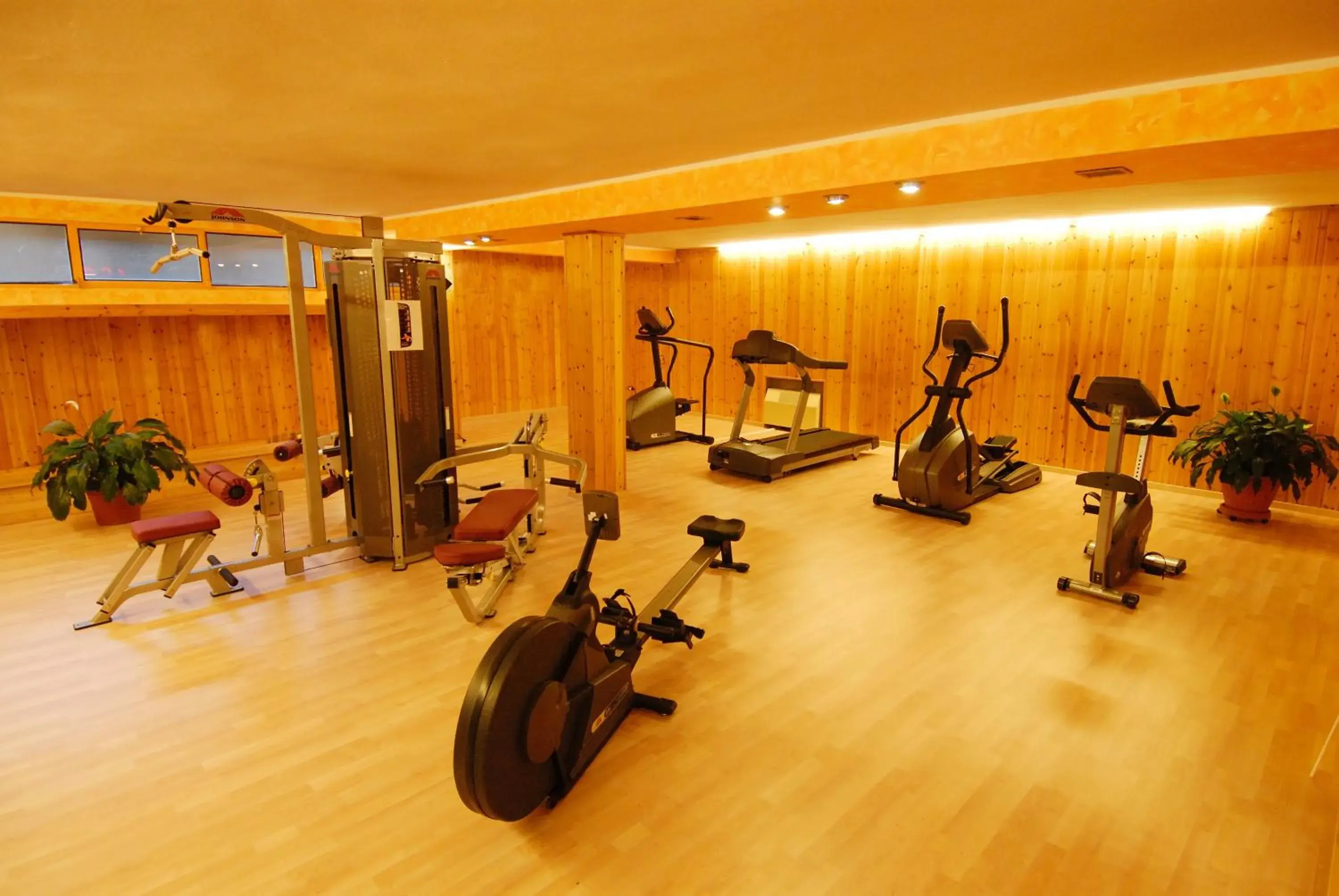 Fitness centre/facilities, Fitness Center/Facilities in Hotel La Pergola