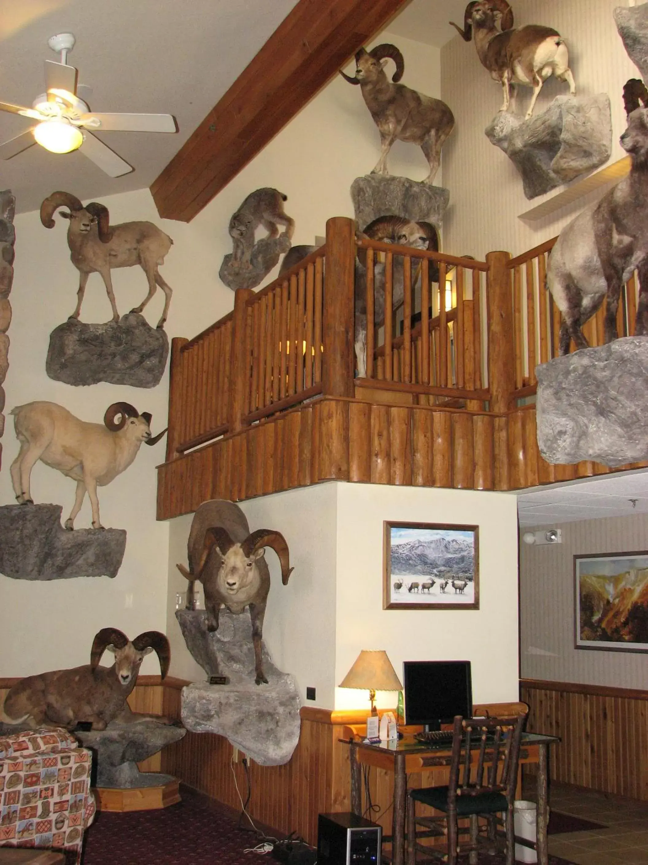 Lobby or reception in AmericInn by Wyndham Cody Lobby or reception in AmericInn by Wyndham Cody