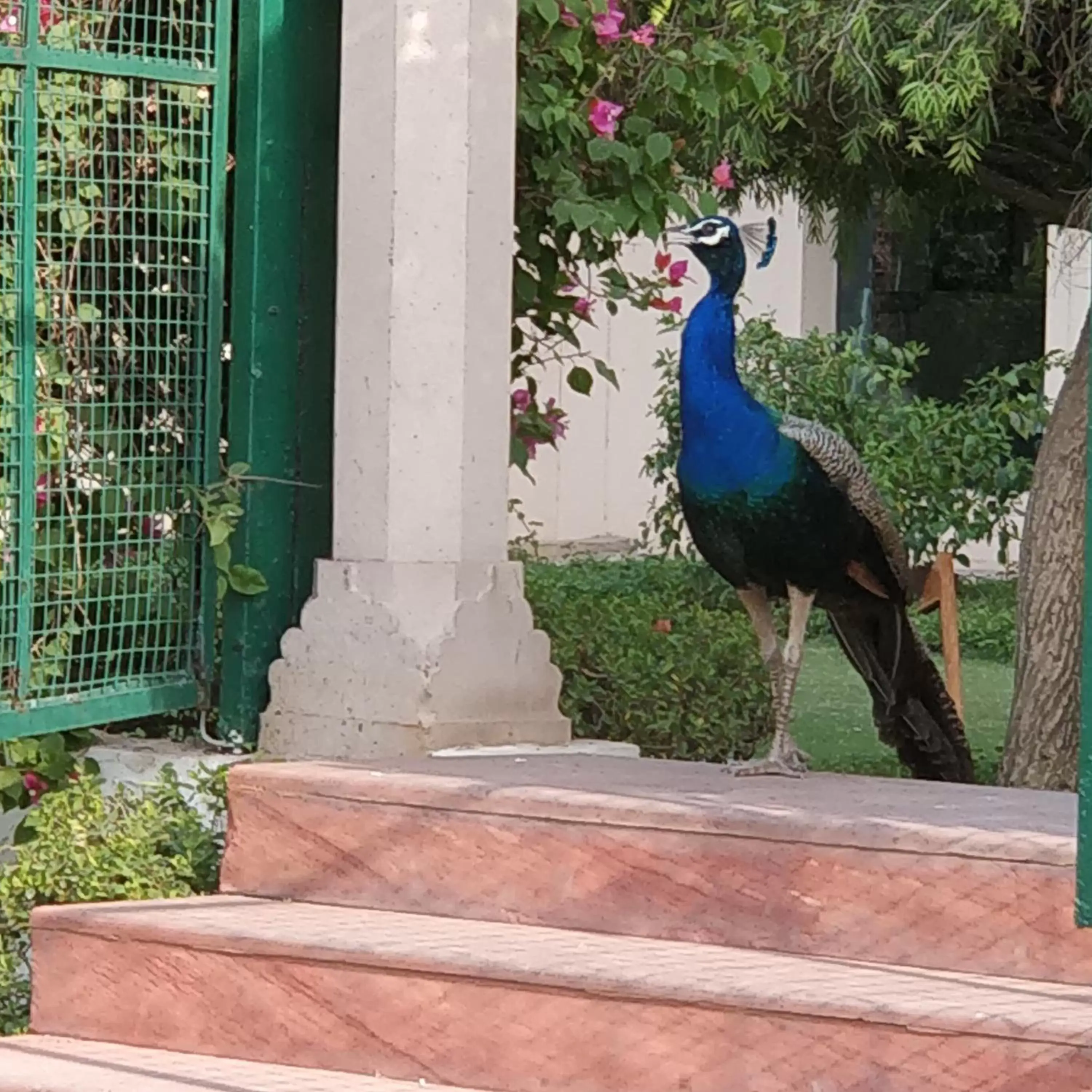 Trident Agra Trident Agra