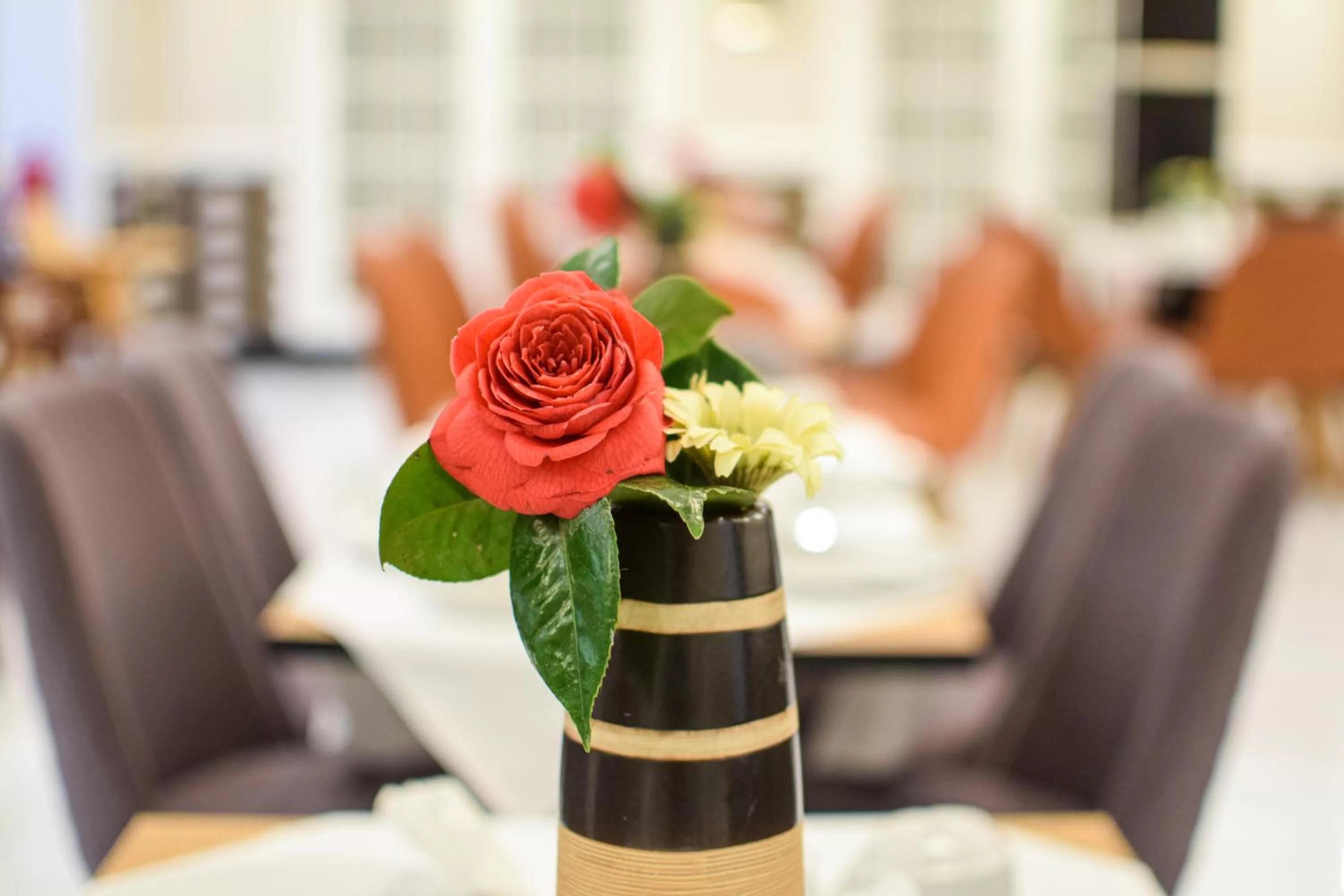 Pembridge Palace Hotel