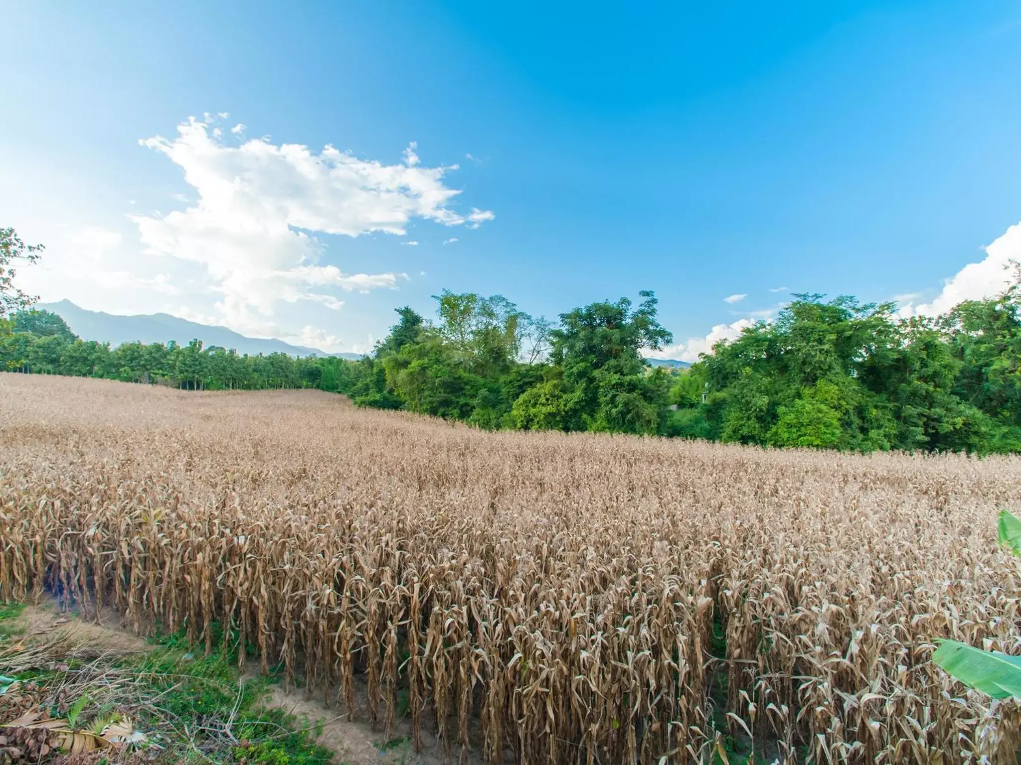 Mountain view in Baan Chokdee Pai Resort Mountain view in Baan Chokdee Pai Resort