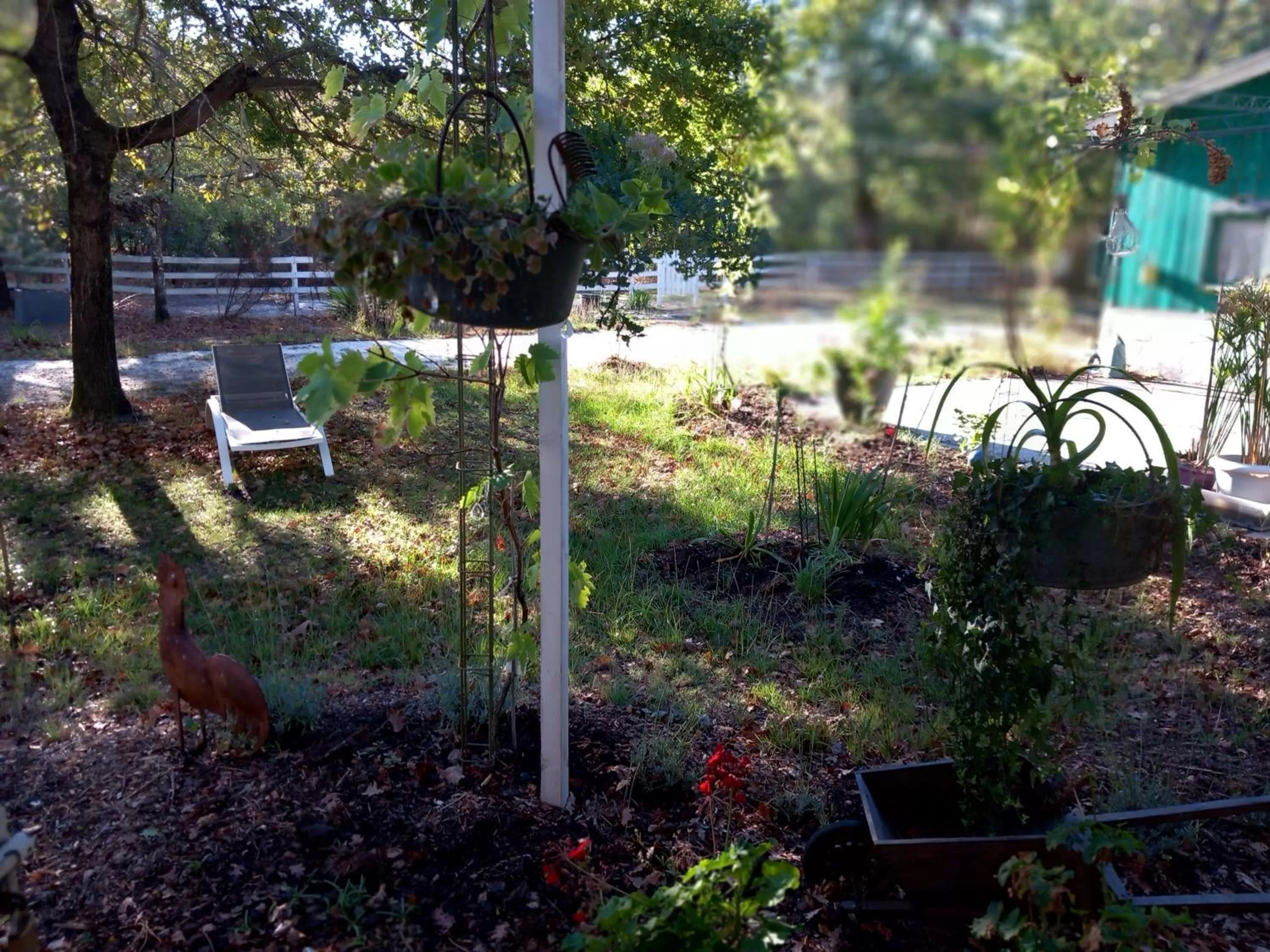 Garden in Les oiseaux voyageurs