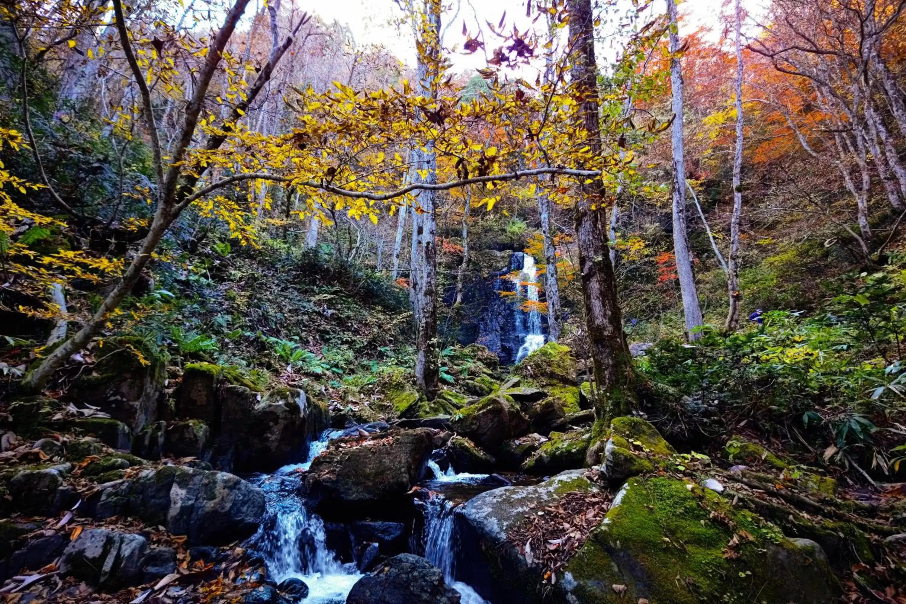 Nearby landmark, Natural Landscape in Hotel Associa Takayama Resort