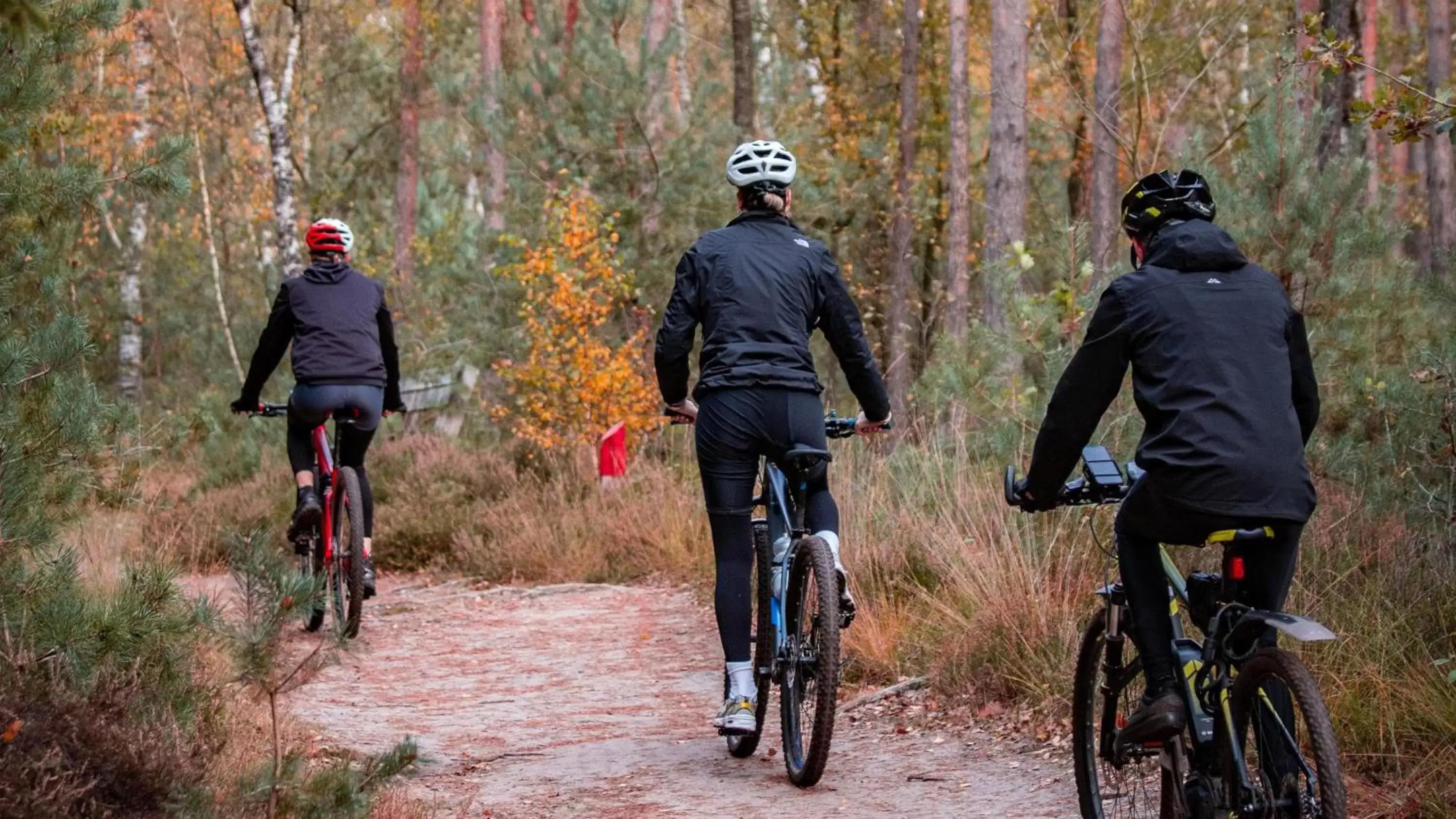 Cycling, Horseback Riding in Witte Berken Natuurhotel