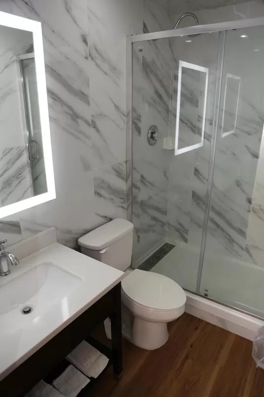 Toilet in Americas Express Inn Rocky Mount