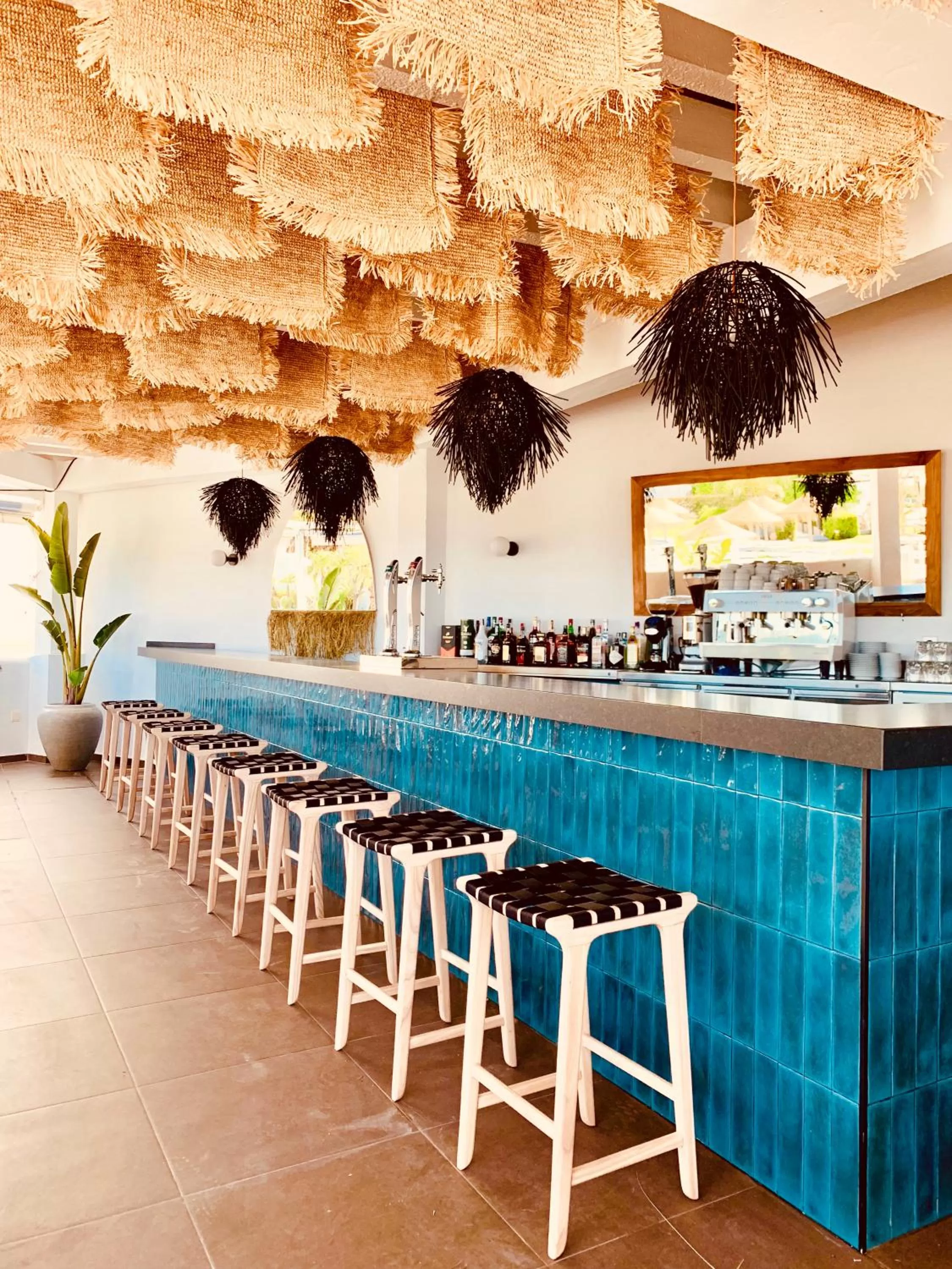 Area and facilities in FERGUS Conil Park