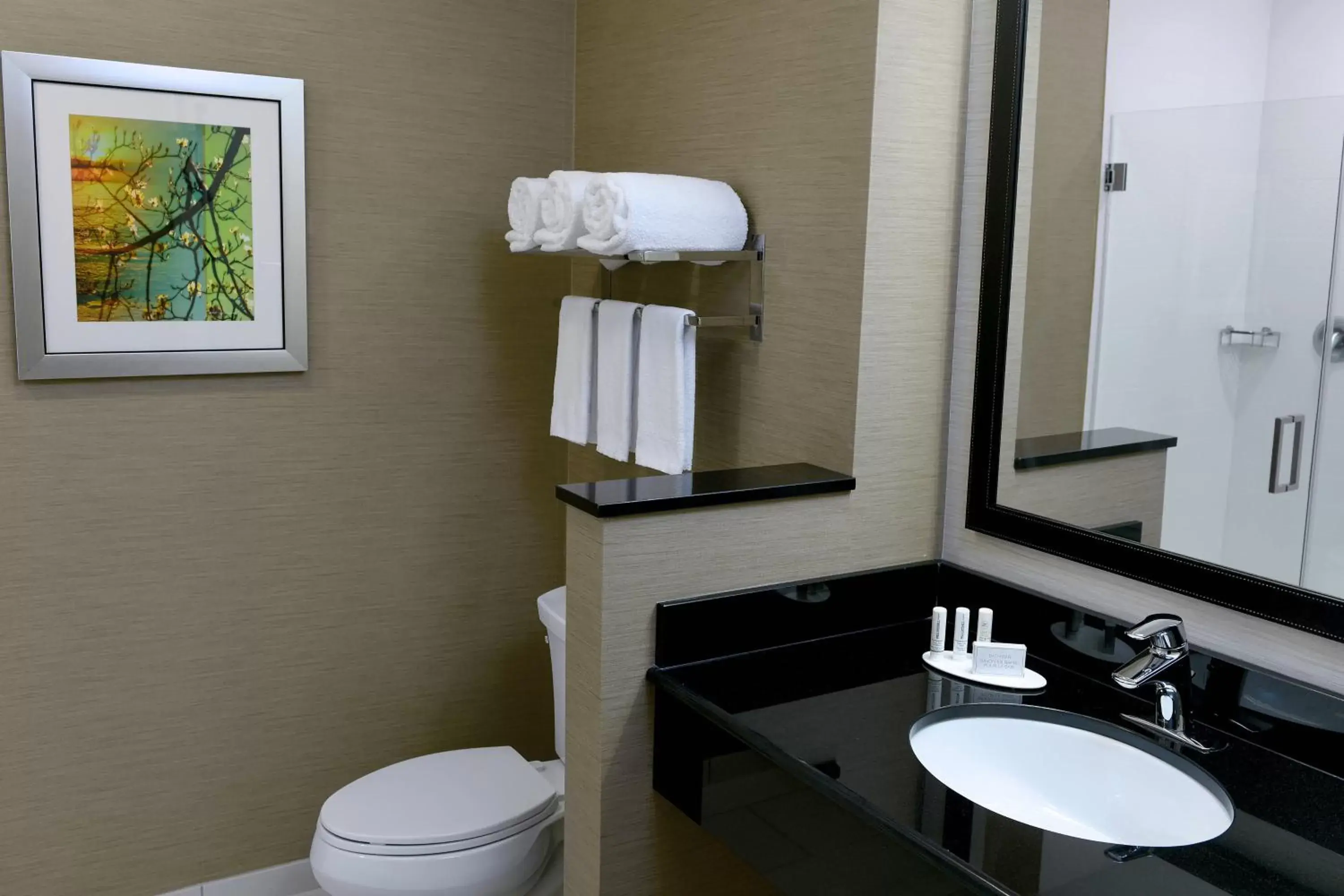 Bathroom in Fairfield Inn & Suites by Marriott Omaha West