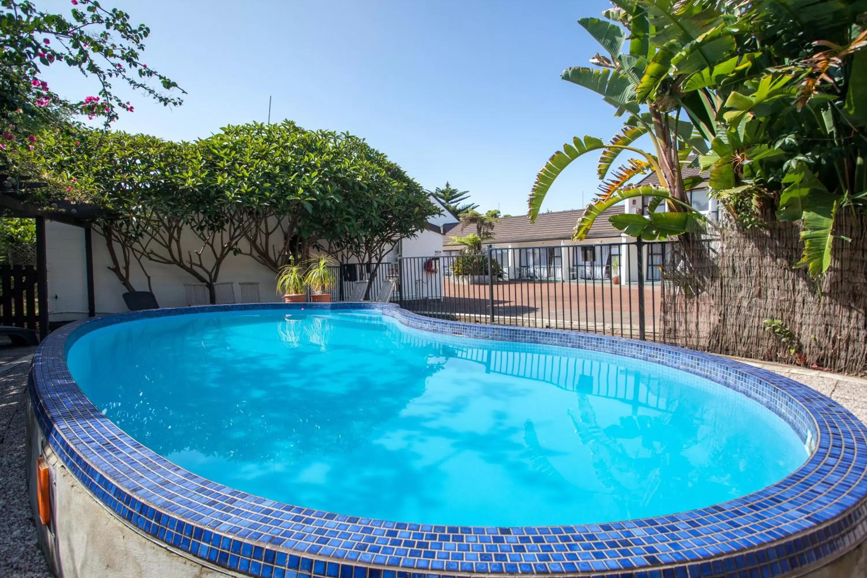 Swimming Pool in Kerikeri Court Motel