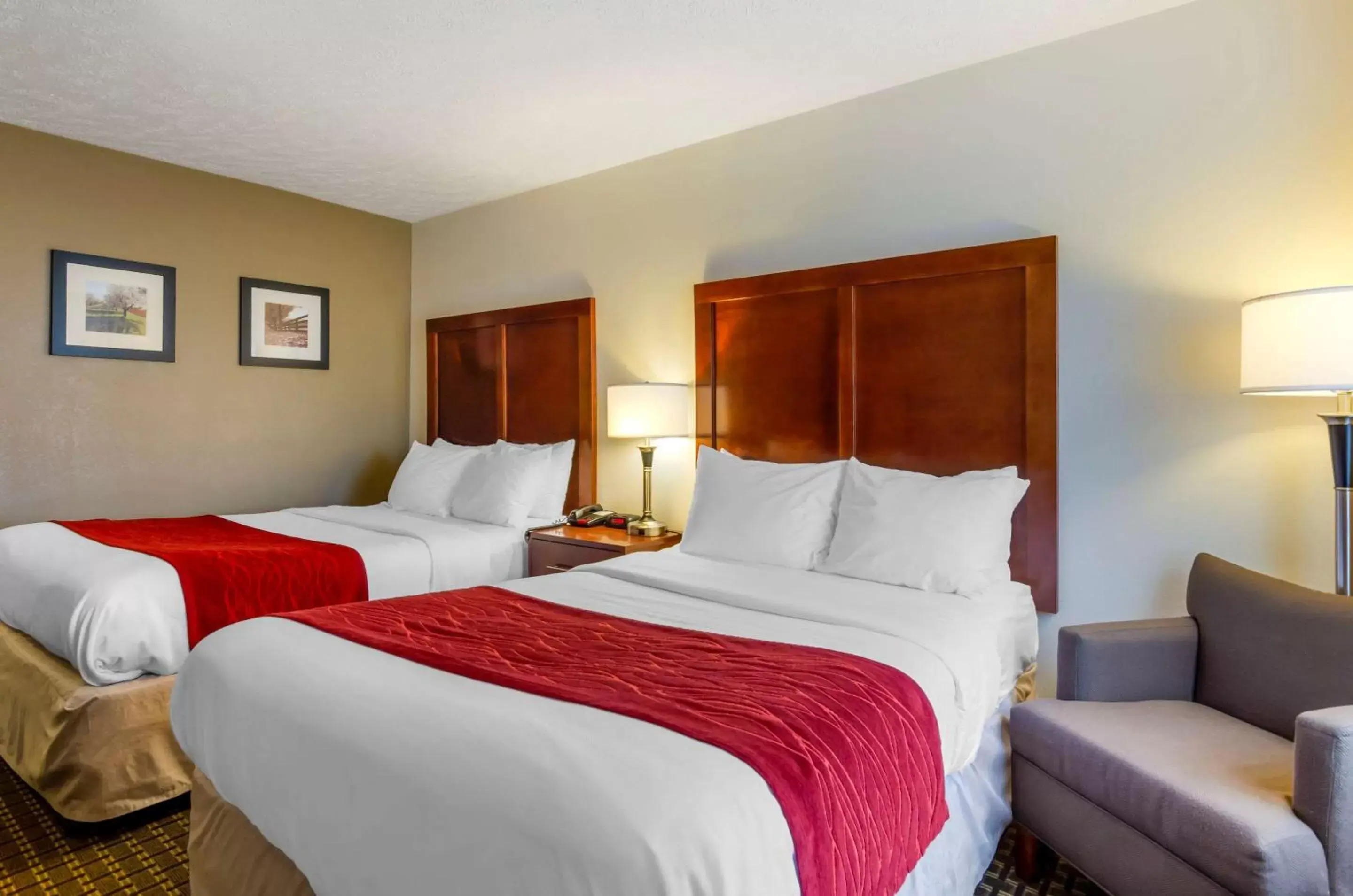 Photo of the whole room, Bed in Comfort Inn Atkins-Marion I-81