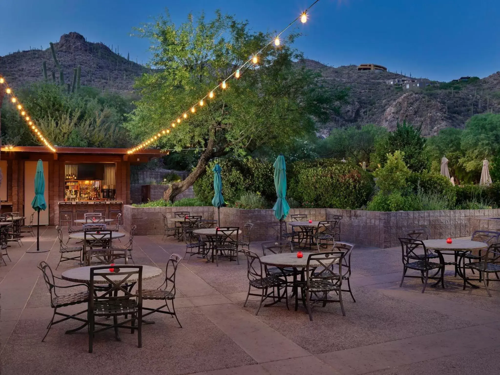 Restaurant/Places to Eat in Loews Ventana Canyon Resort