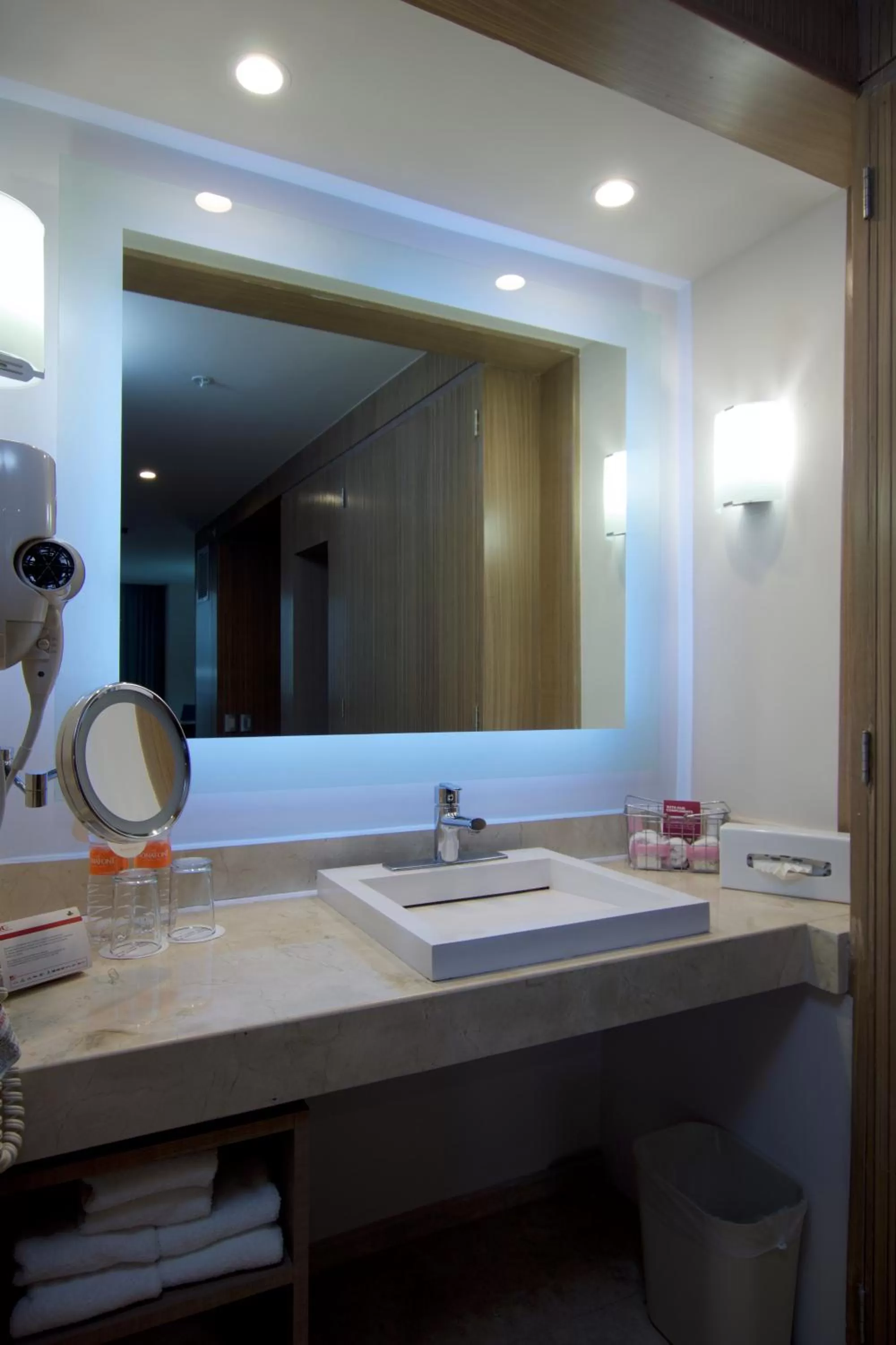 Bathroom in Crowne Plaza Hotel Mexico City North-Tlalnepantla, an IHG Hotel