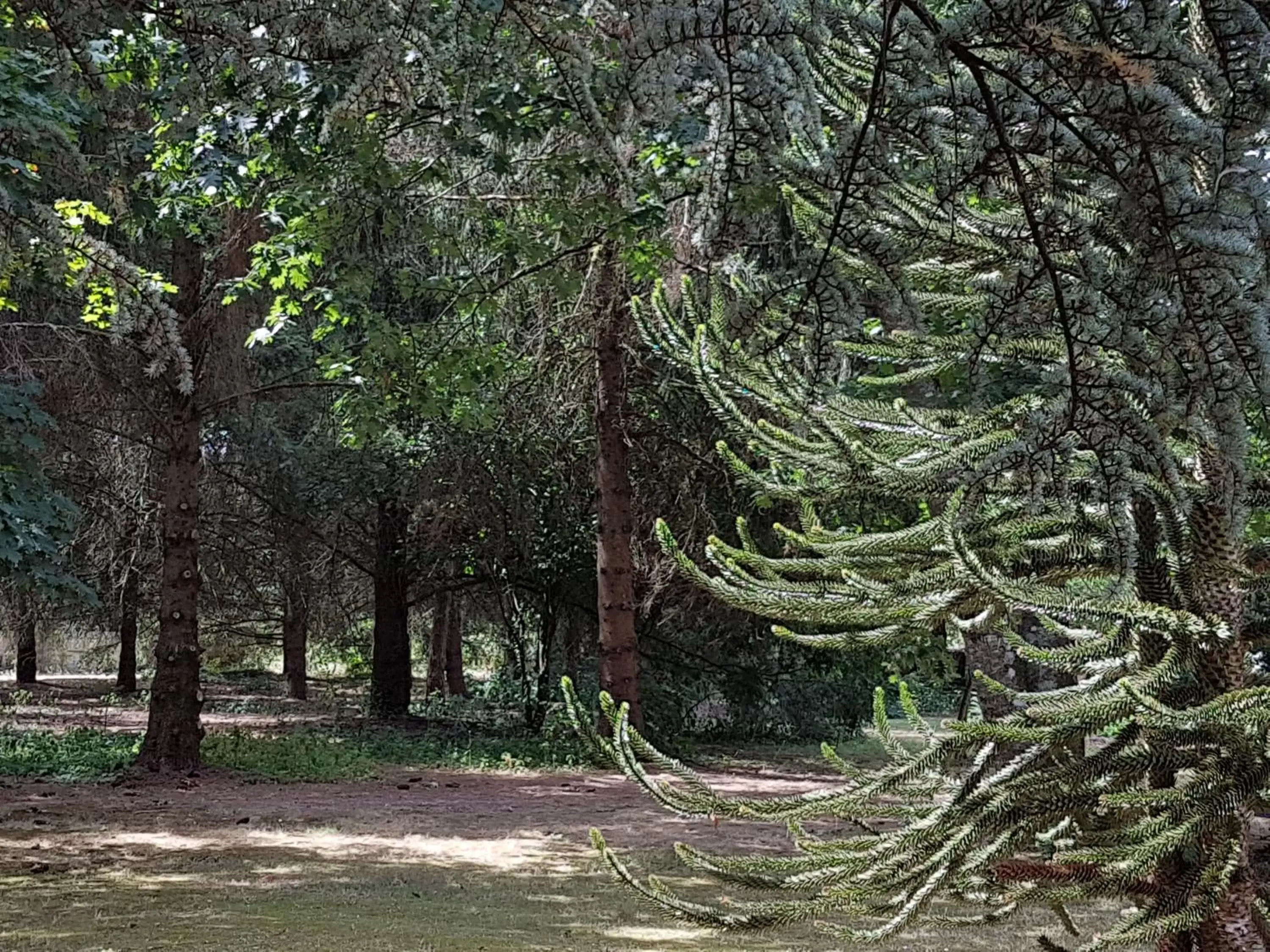 Garden in Le Clos des Écureuils