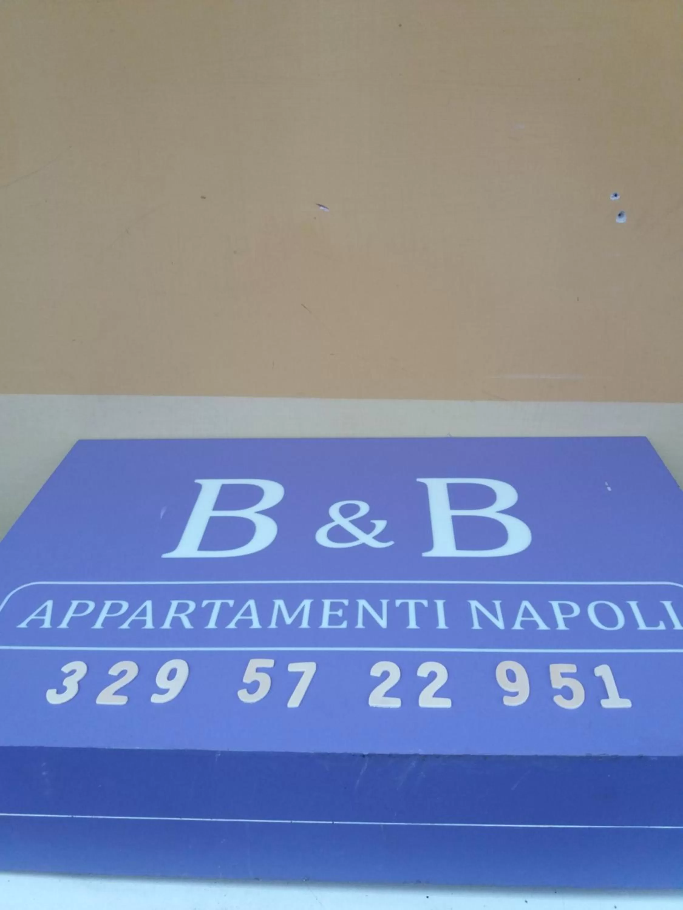 Property logo or sign in B&B Appartamenti NAPOLI