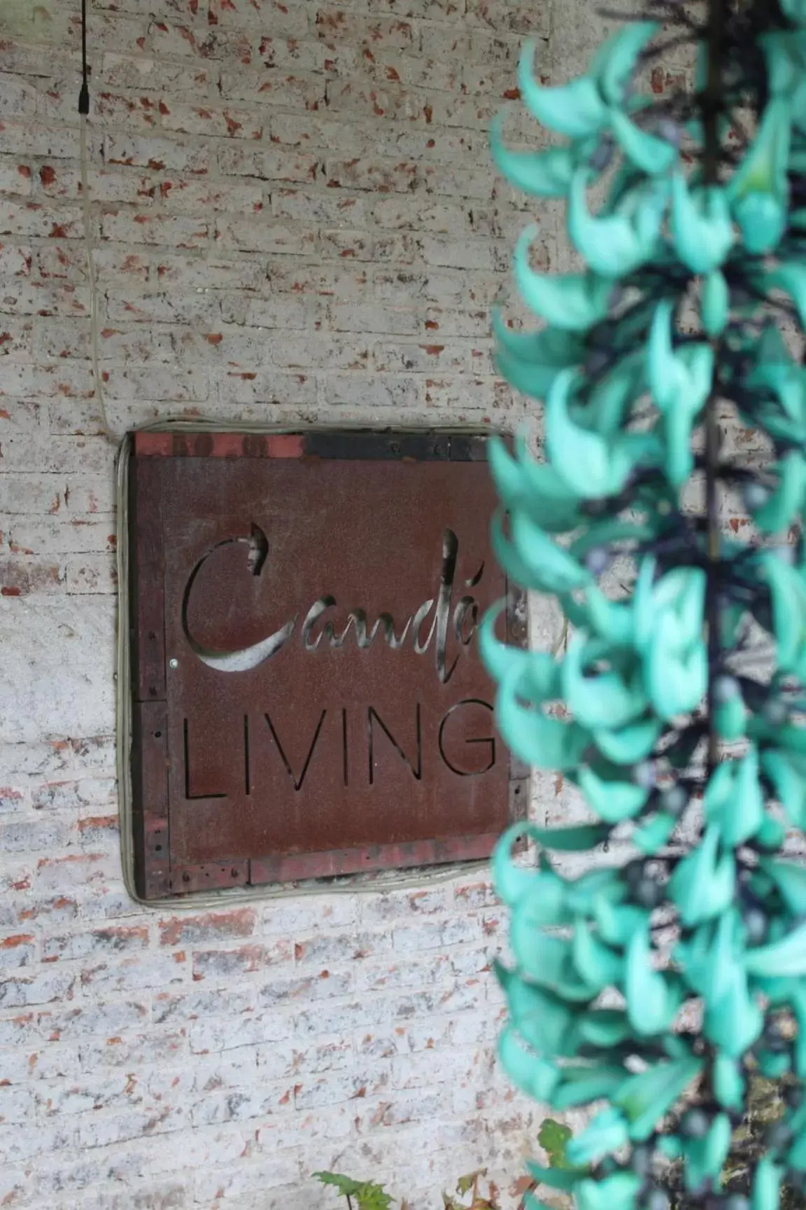 Cando Living Apartments in Central Avenue