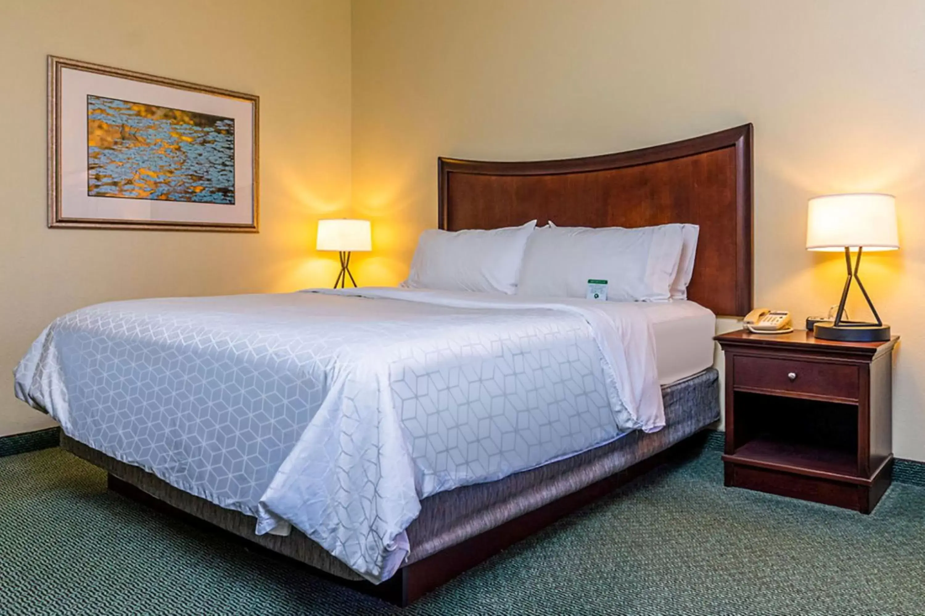 Photo of the whole room, Bed in Holiday Inn Express Indianapolis Airport, an IHG Hotel