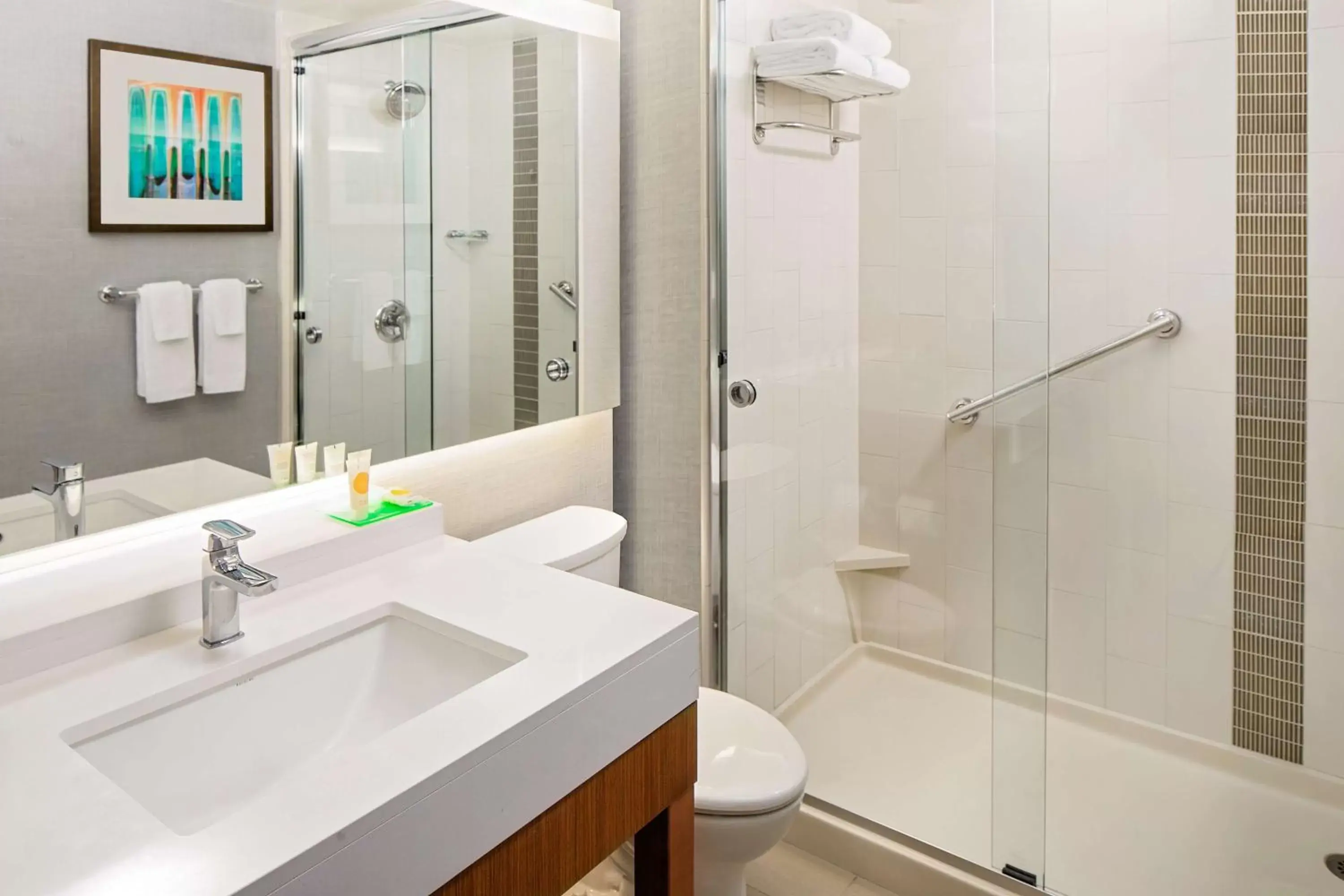 Shower, Bathroom in Hyatt Place Glendale/Los Angeles