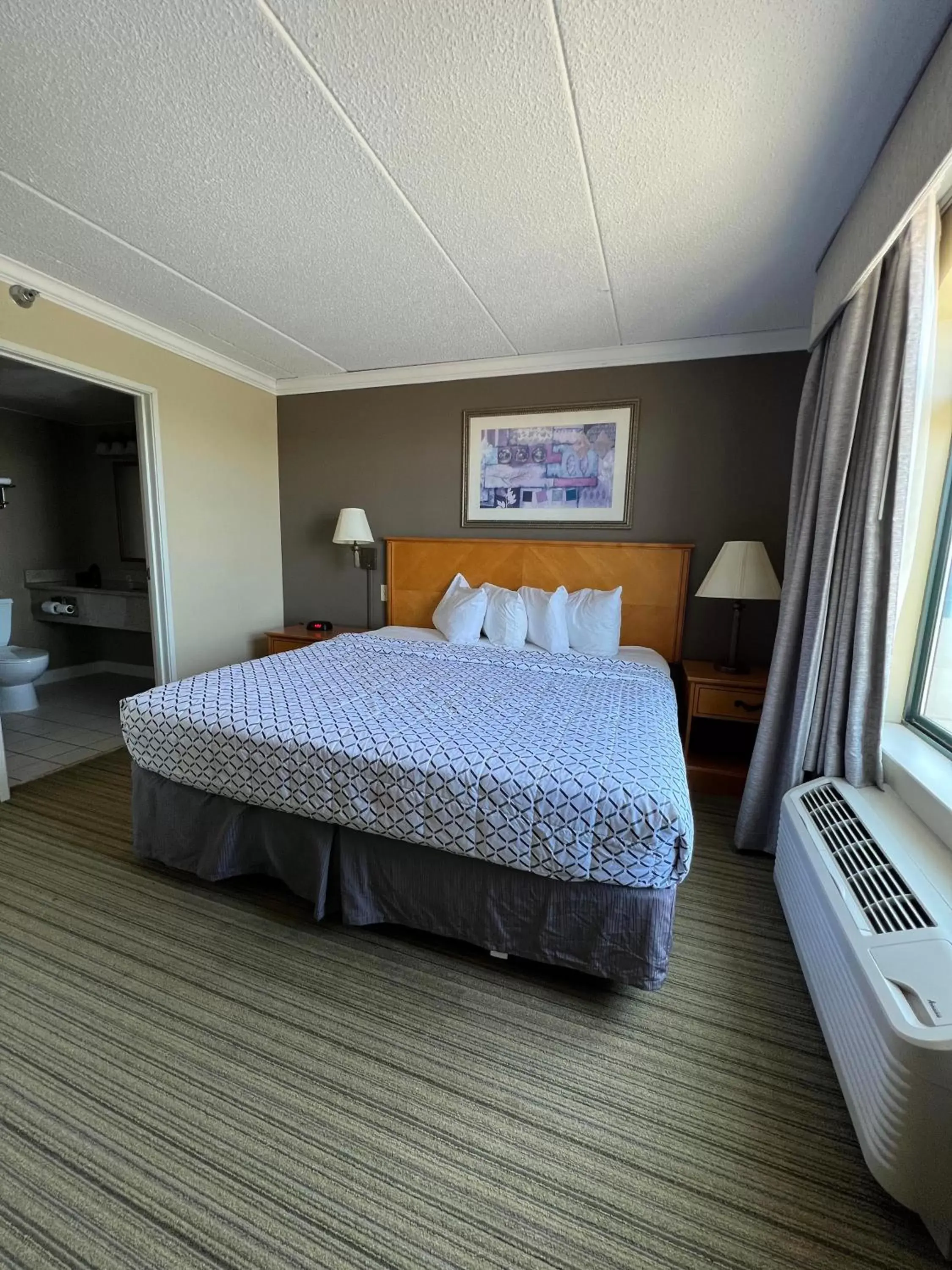 Bed in Wingate by Wyndham Coon Rapids