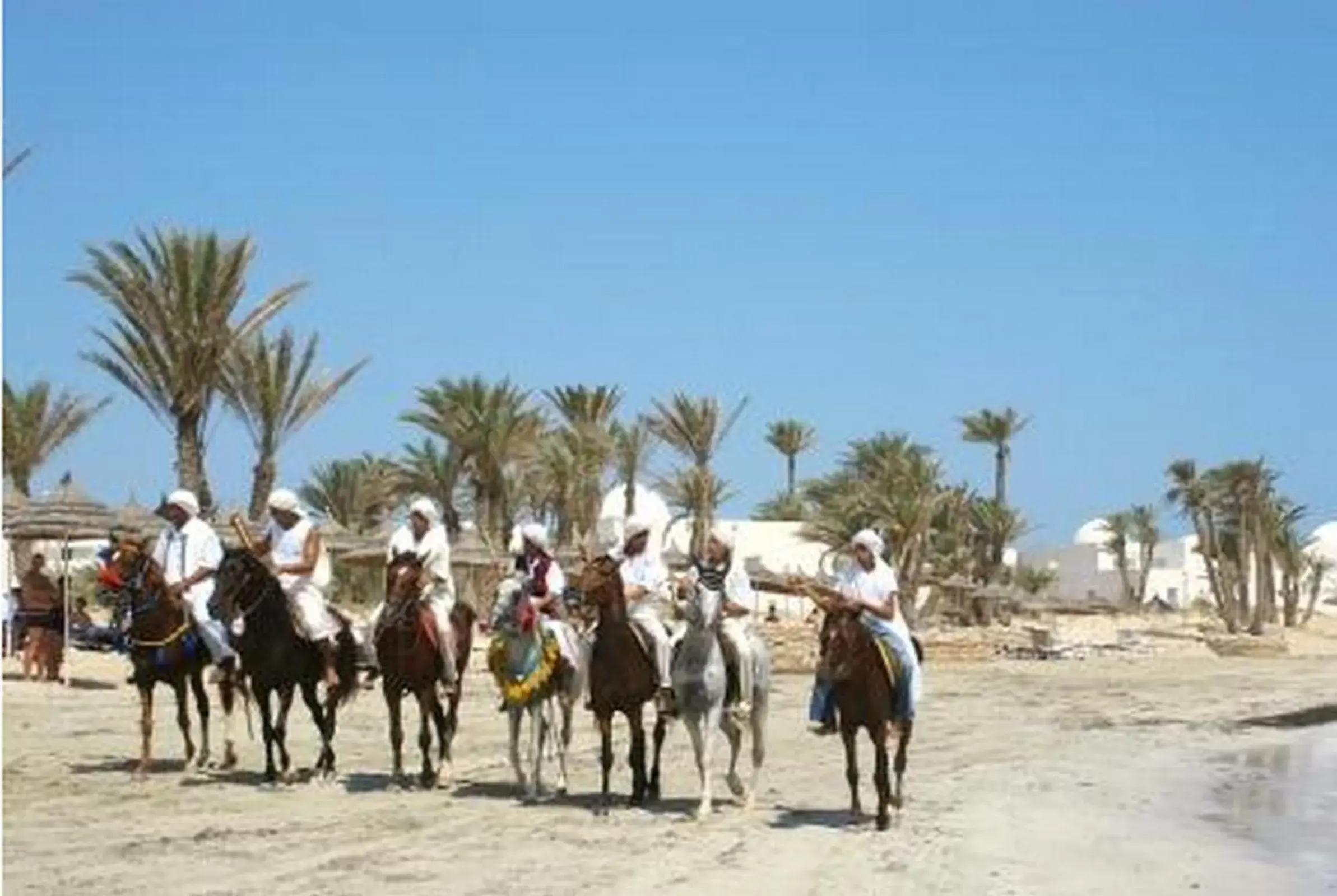 Entertainment, Horseback Riding in El Mouradi Djerba Menzel