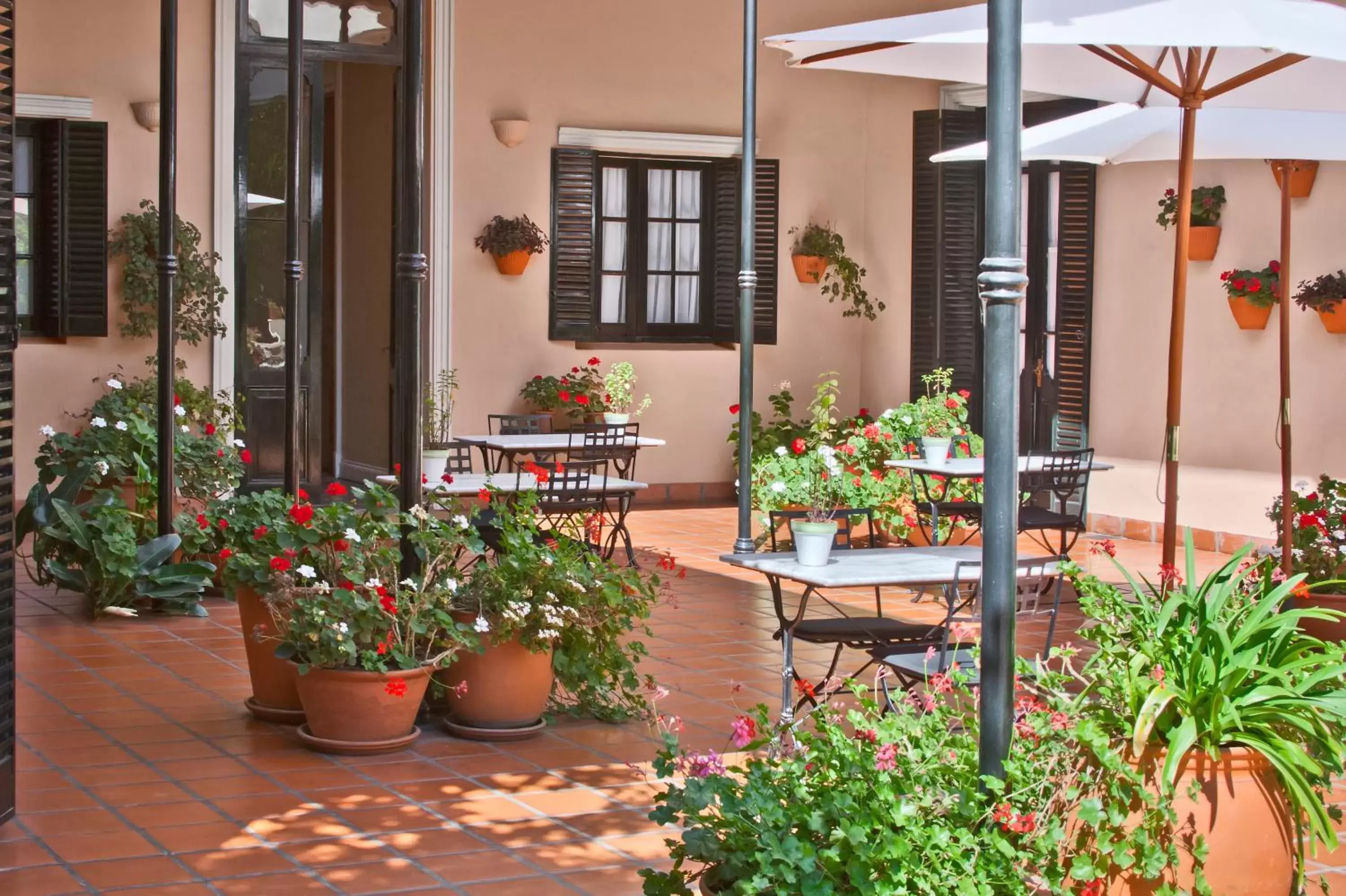 Restaurant/places to eat in Hotel del Casco Restaurant/places to eat in Hotel del Casco
