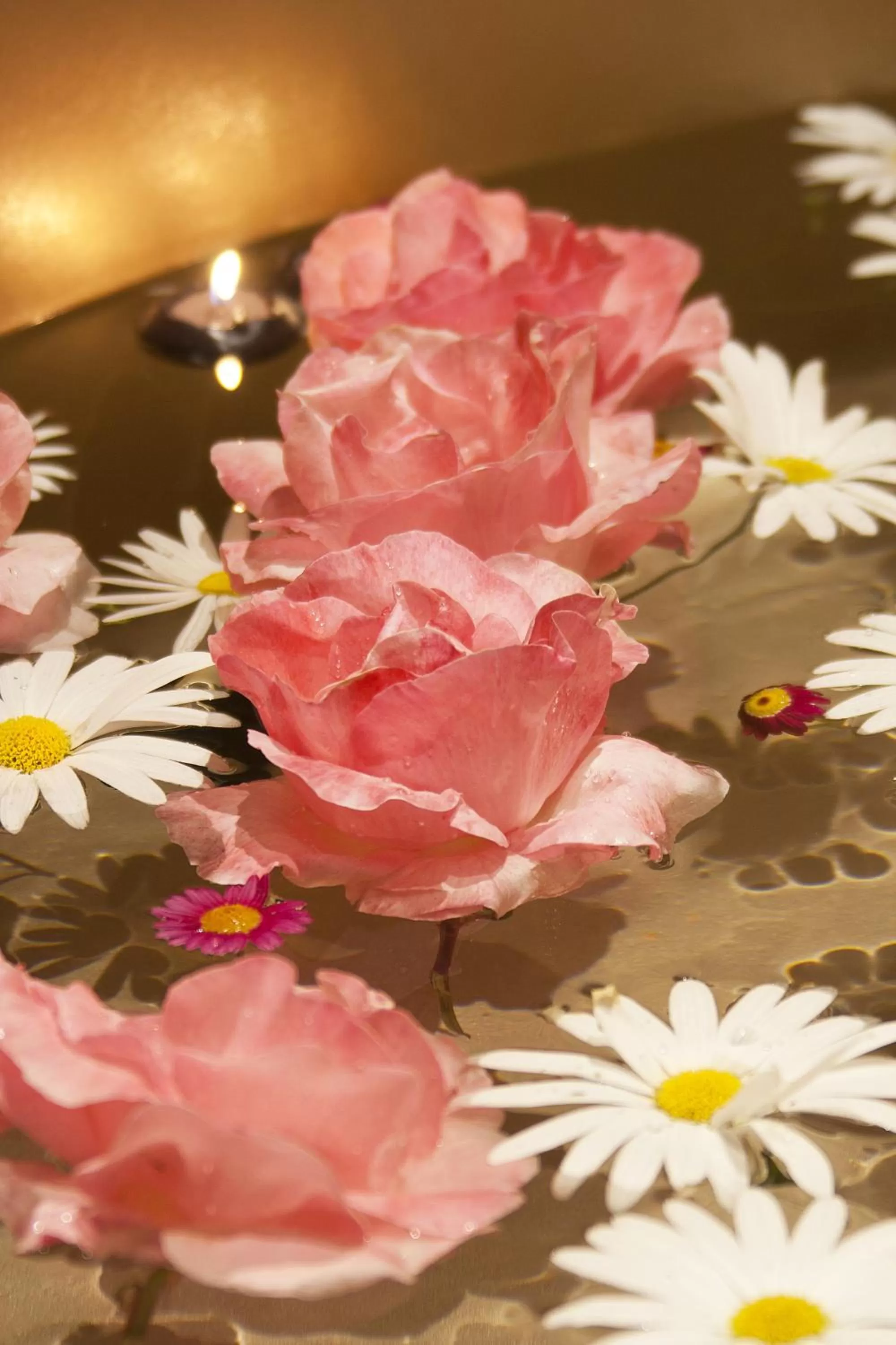 Decorative detail in Absoluto Design Hotel