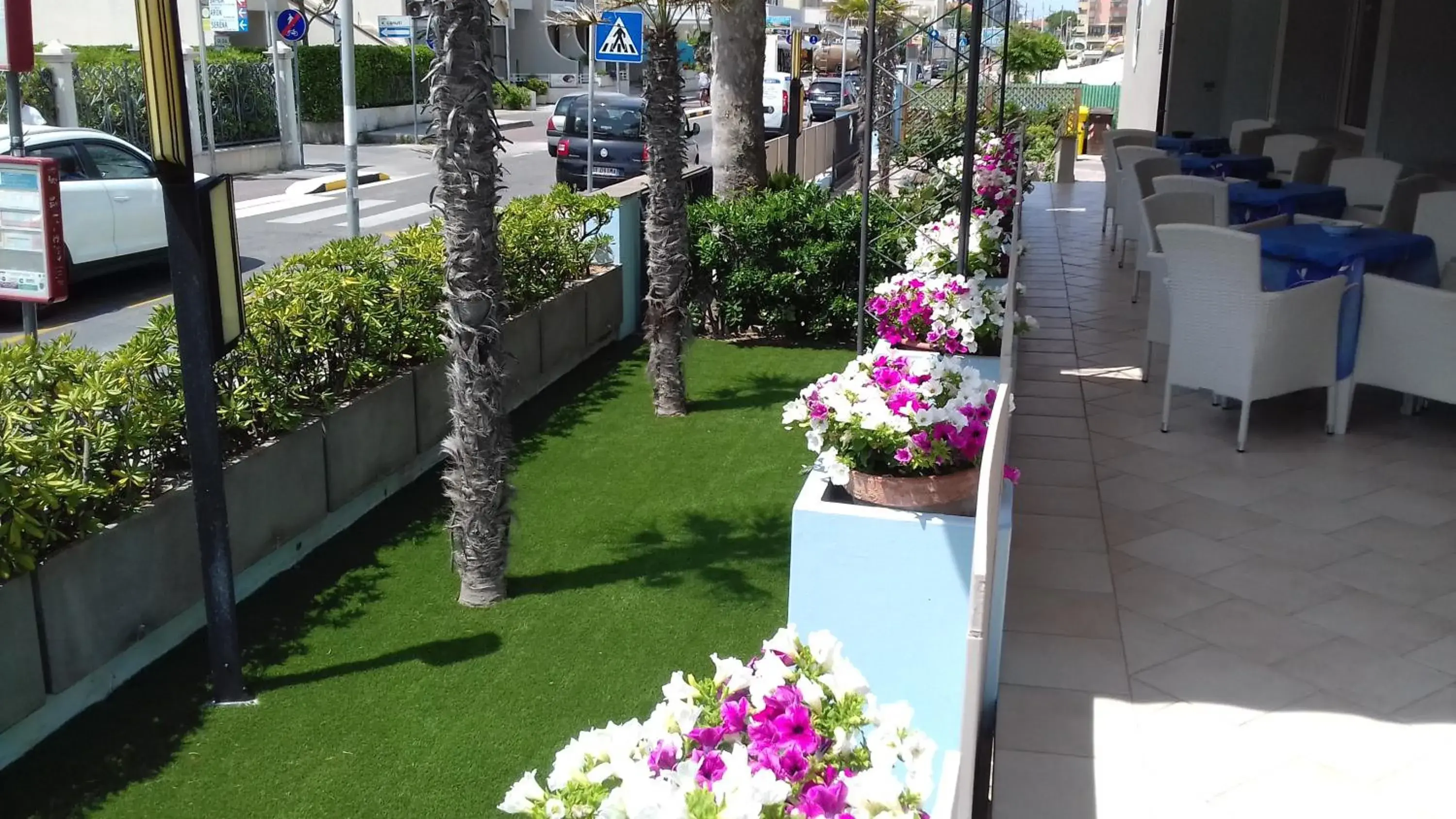 Garden in Hotel Atlantic