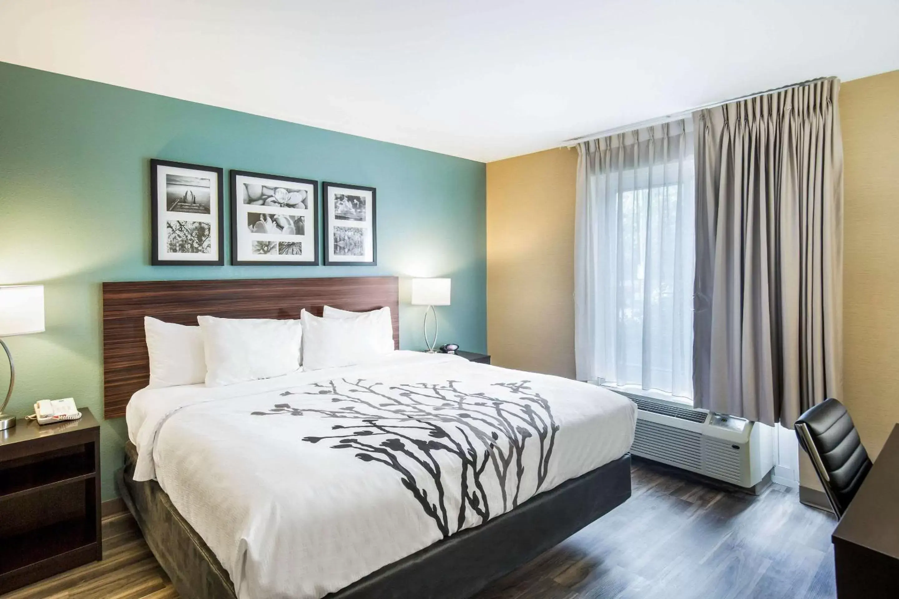 Bedroom, Bed in Sleep Inn & Suites Scranton Dunmore