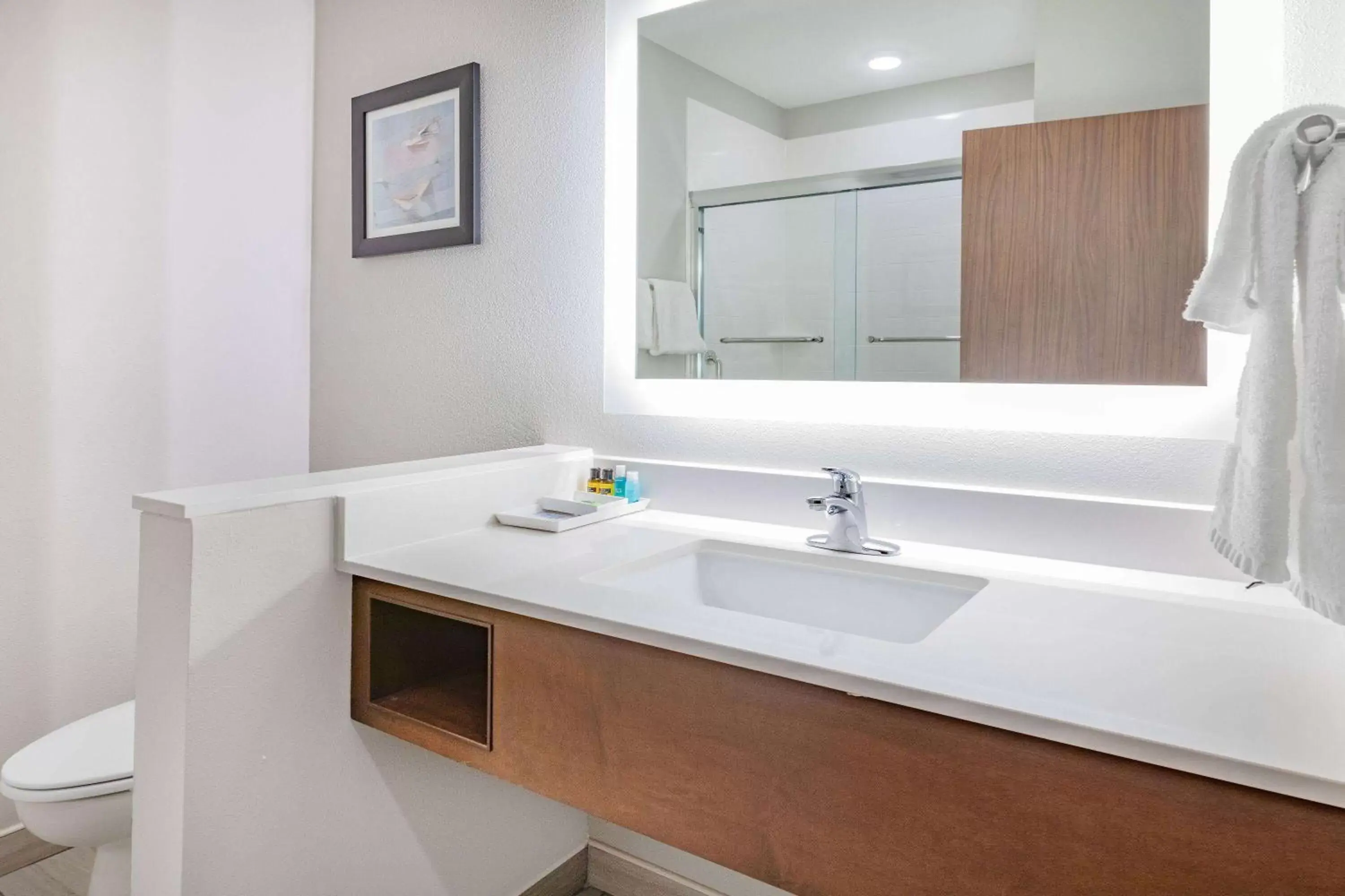 TV and multimedia, Bathroom in La Quinta Inn & Suites by Wyndham Jackson-Cape Girardeau