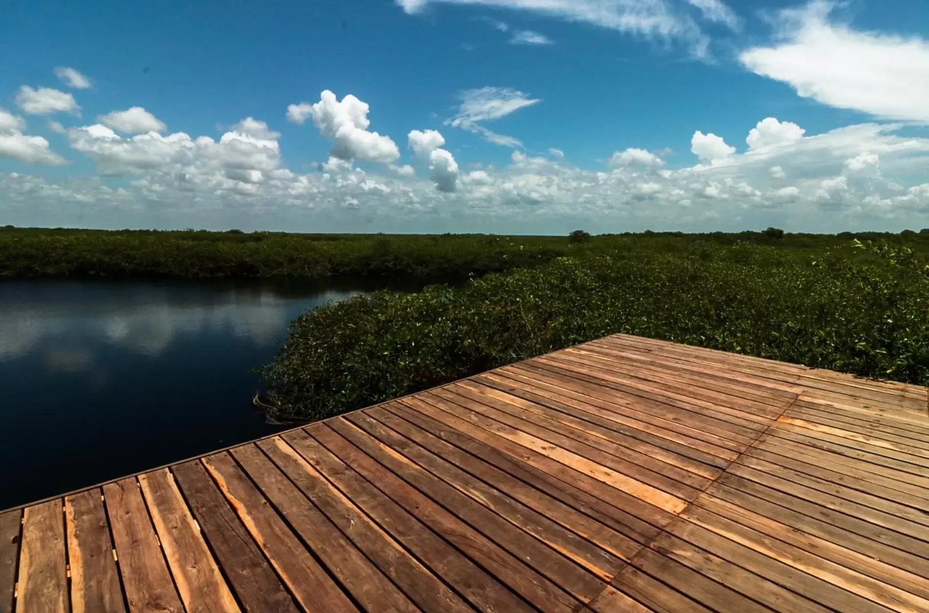 Natural landscape in Cormoran Boutique Hotel & Private Cenote Tulum