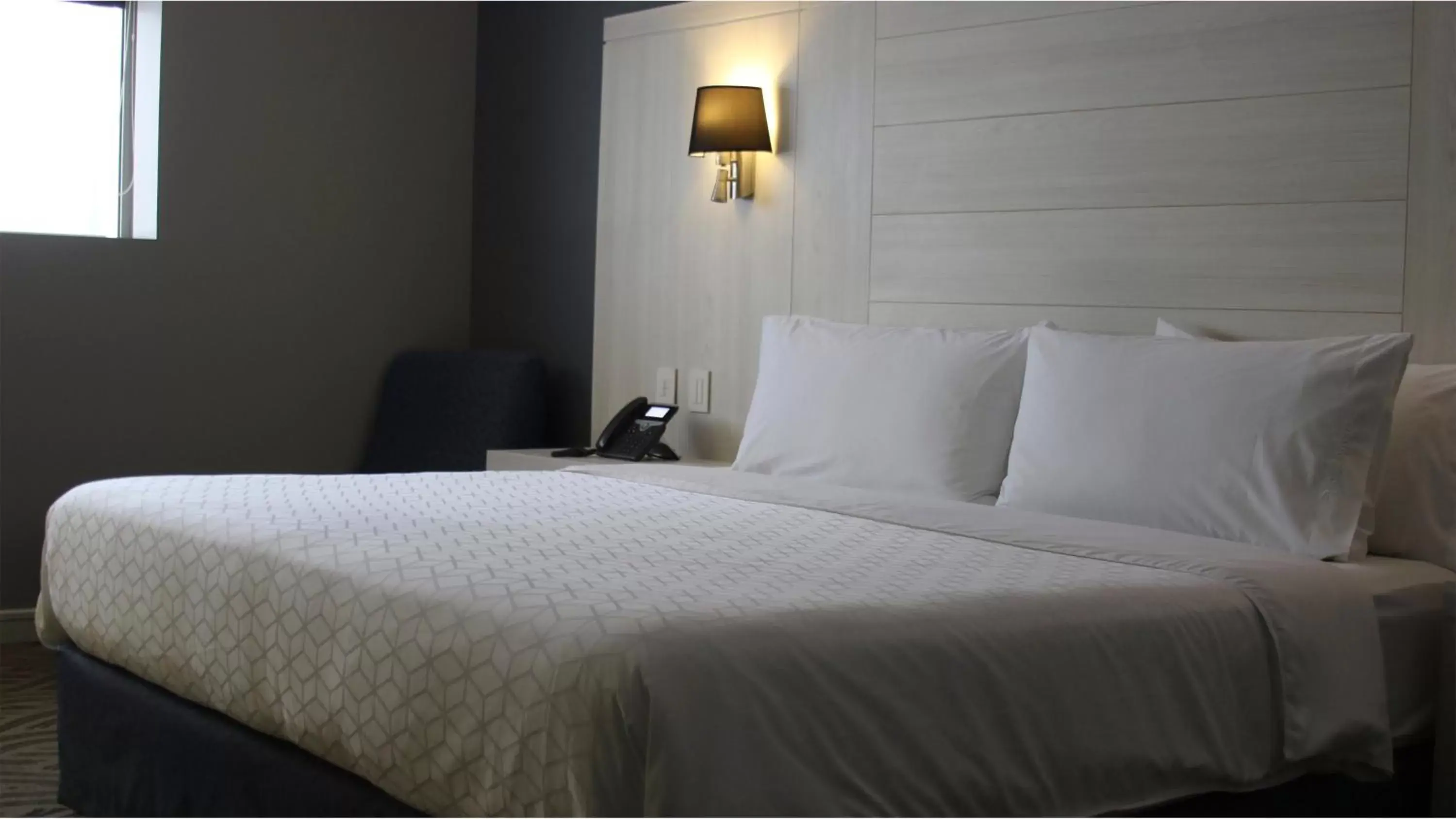 Photo of the whole room, Bed in Holiday Inn Express Pachuca, an IHG Hotel
