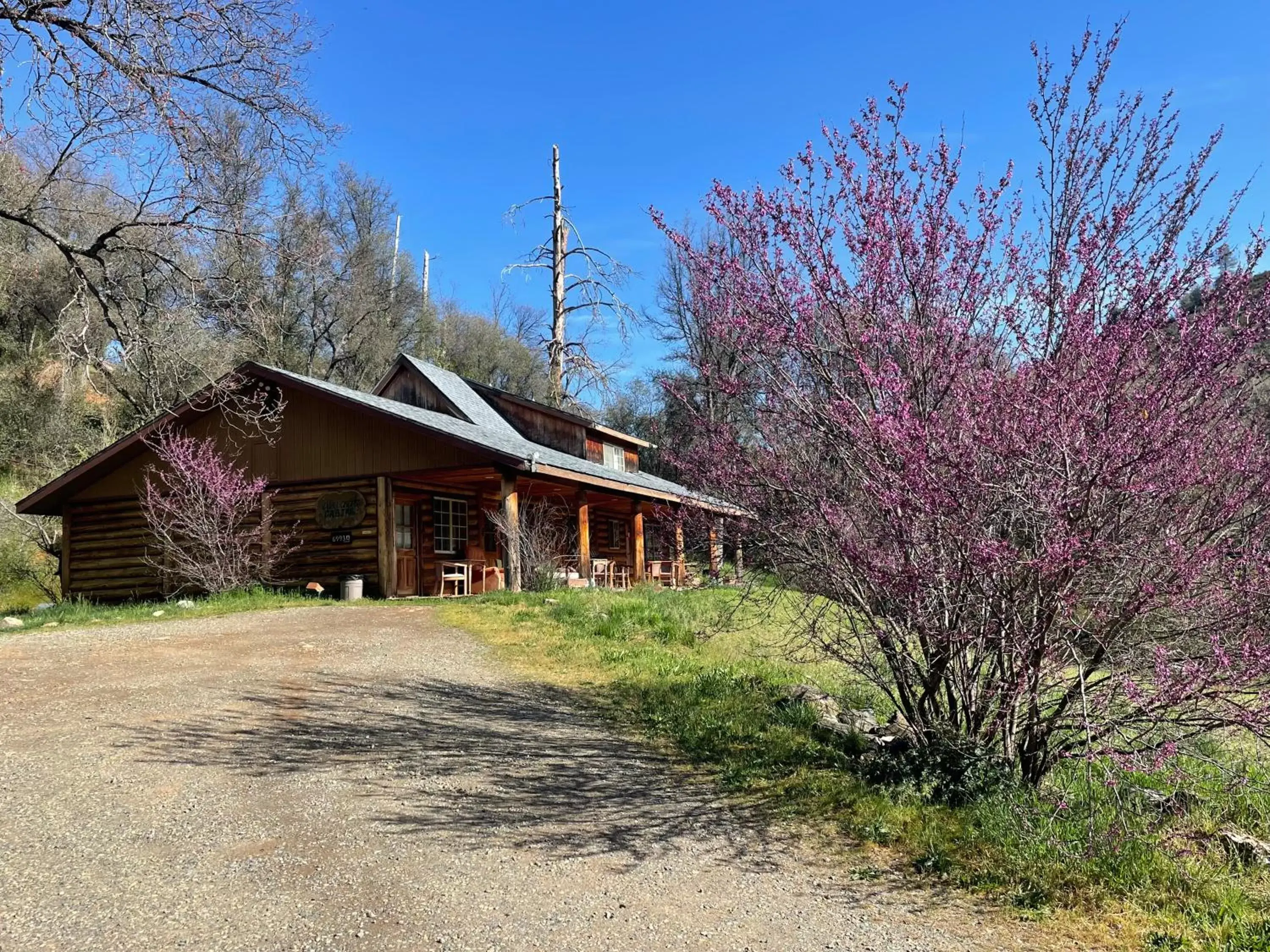 Property Building in Bear Creek Cabins