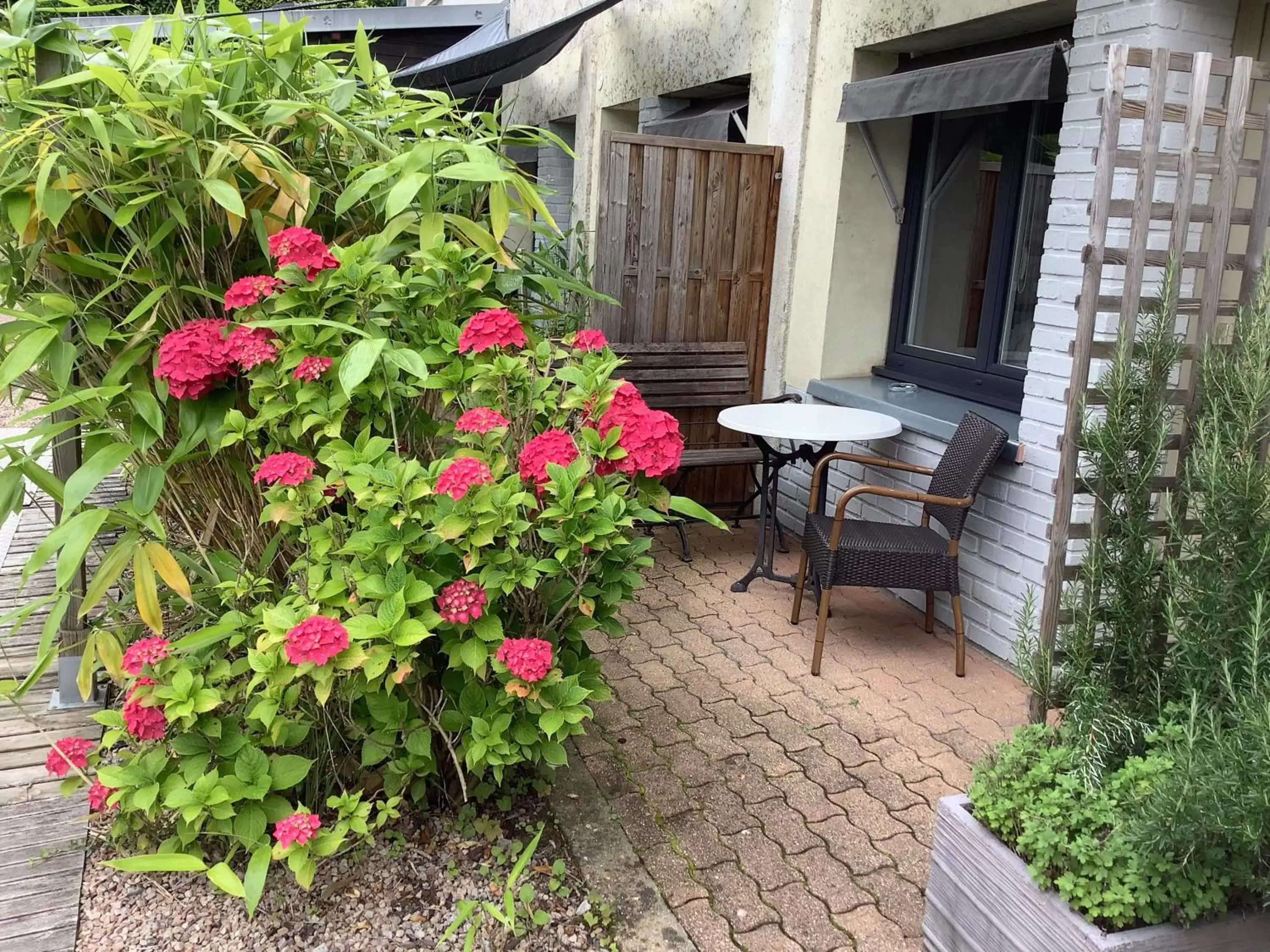 Patio in Hôtel Monet