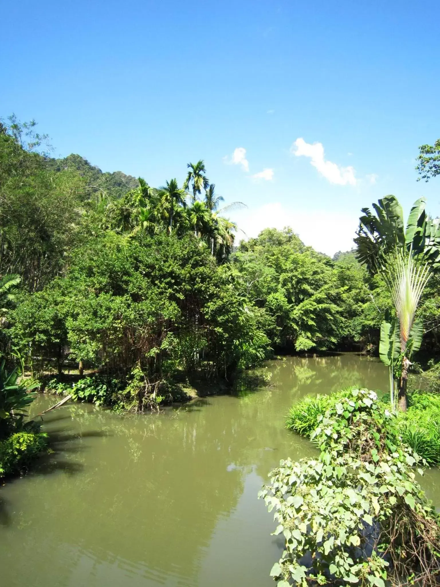 Phanom Bencha Mountain Resort